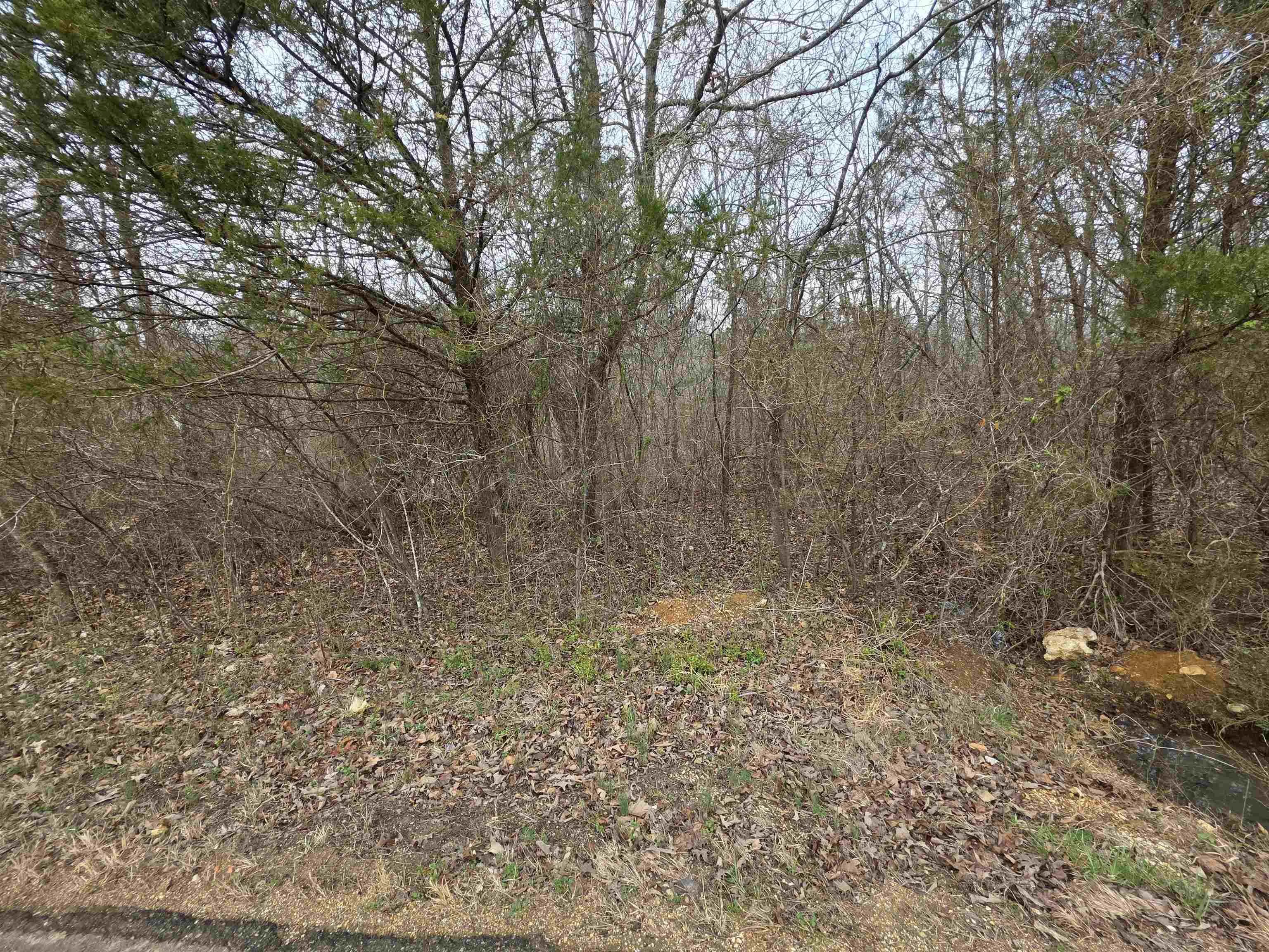 Property at L17 B3  S summit ridge - Image 9