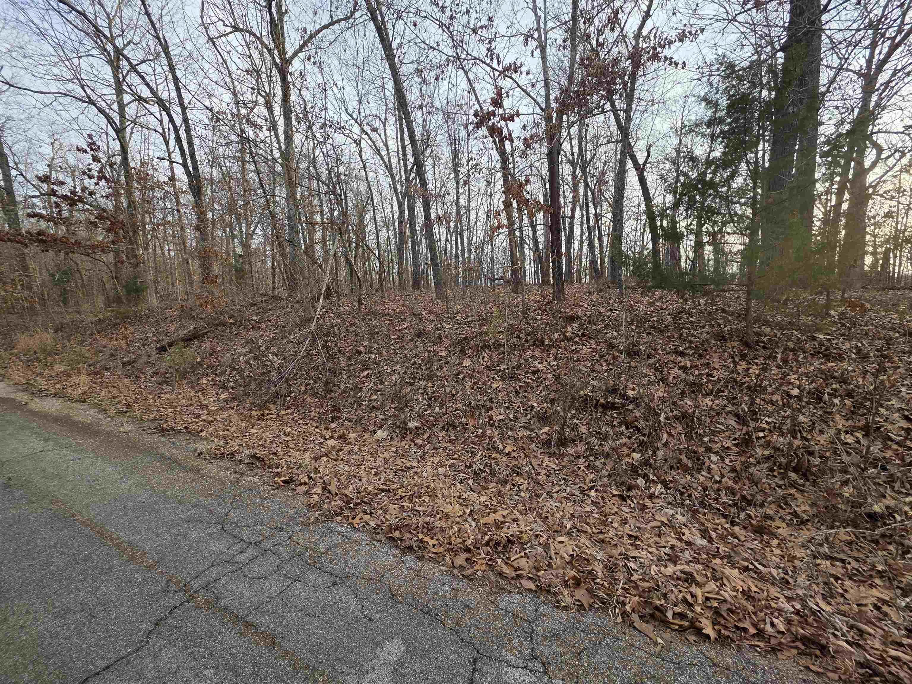 Property at 7 Lots  Cherokee village - Image 22