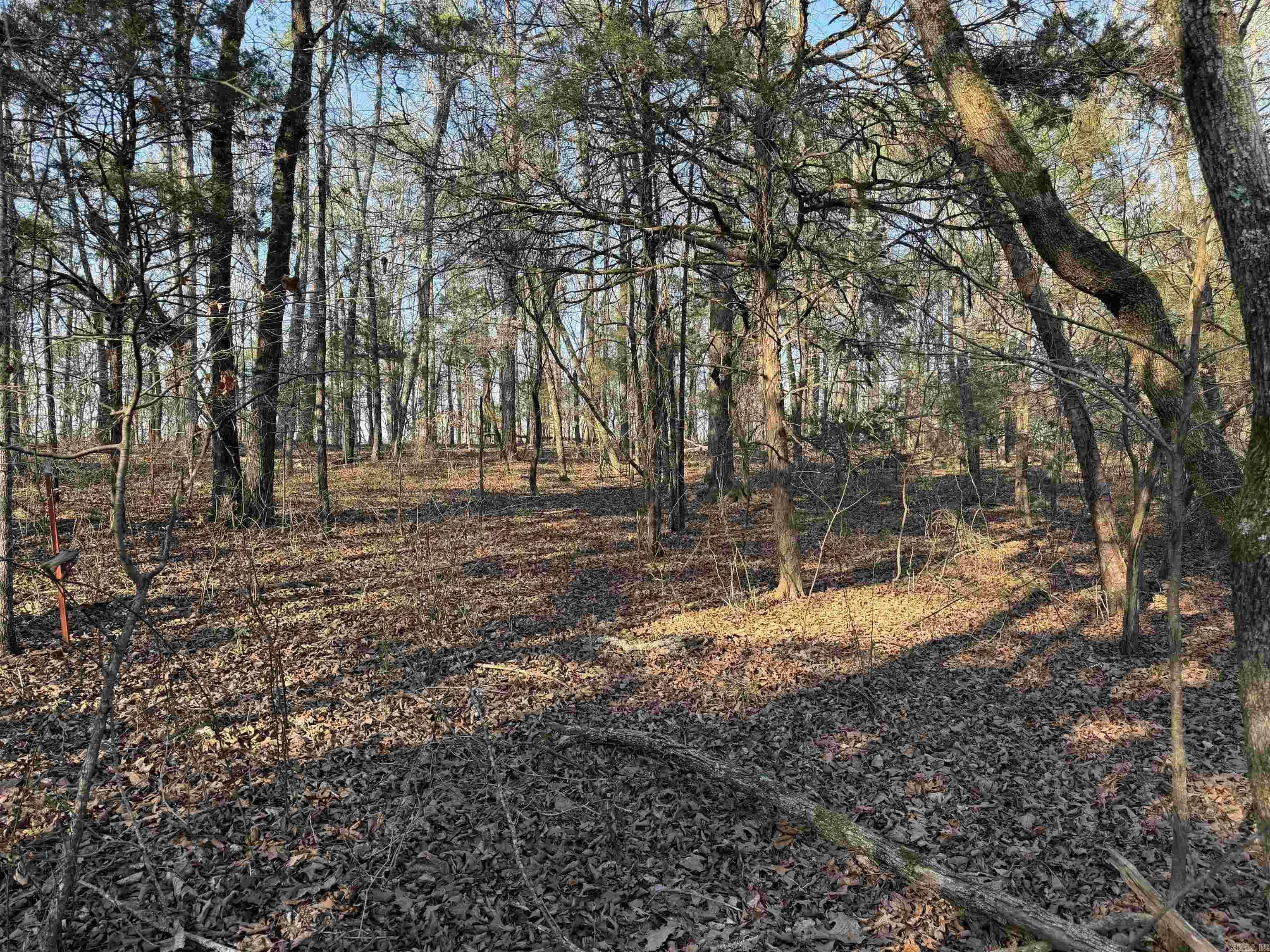 Property at 00  Highway 336 e - Image 8