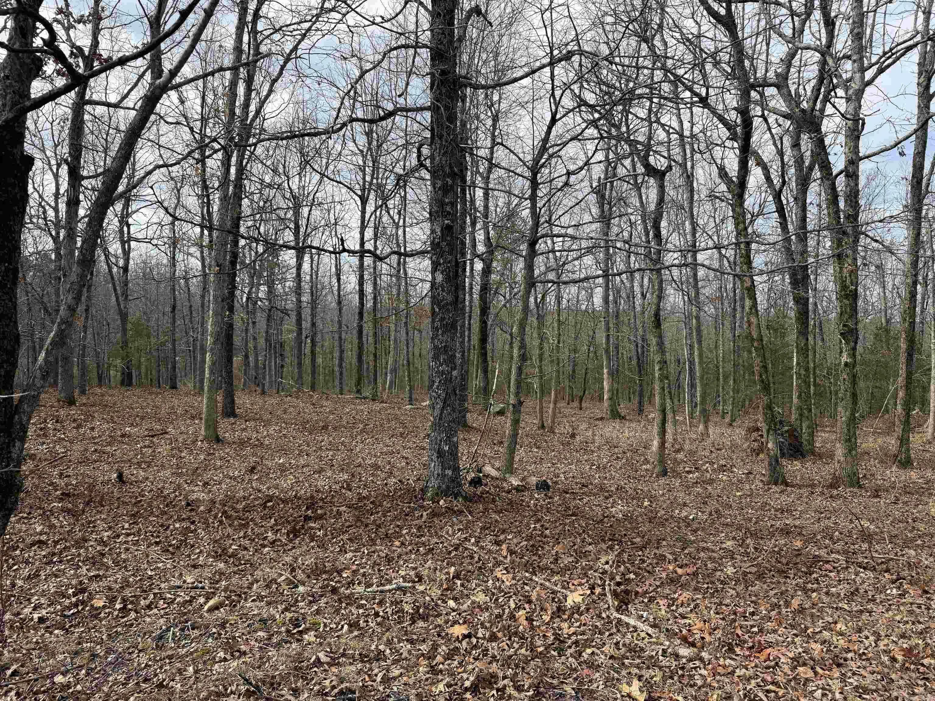 Property at 150  Blue mountain - Image 9