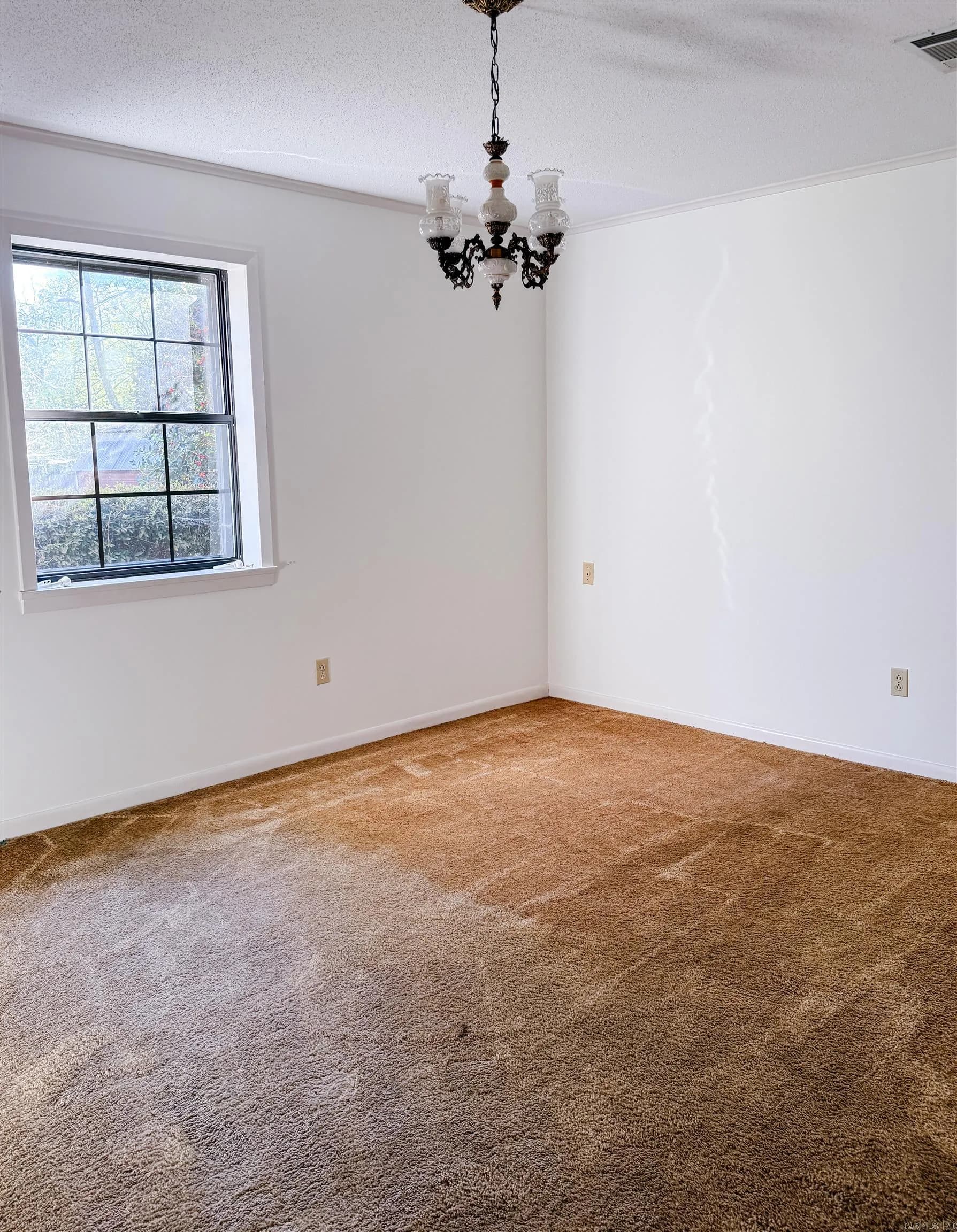 Property at 404  Marie - Image 10