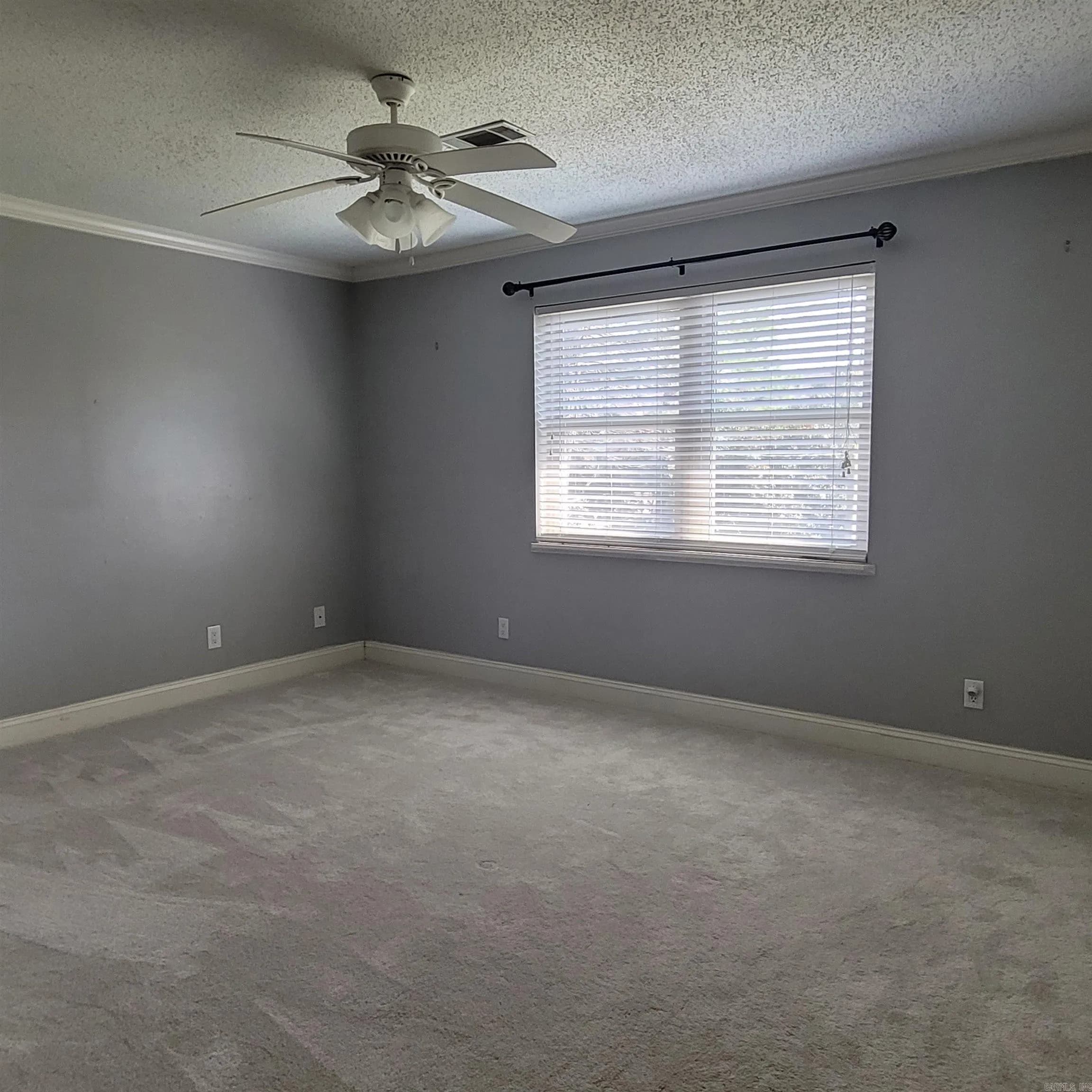 Property at 216  Remington - Image 17