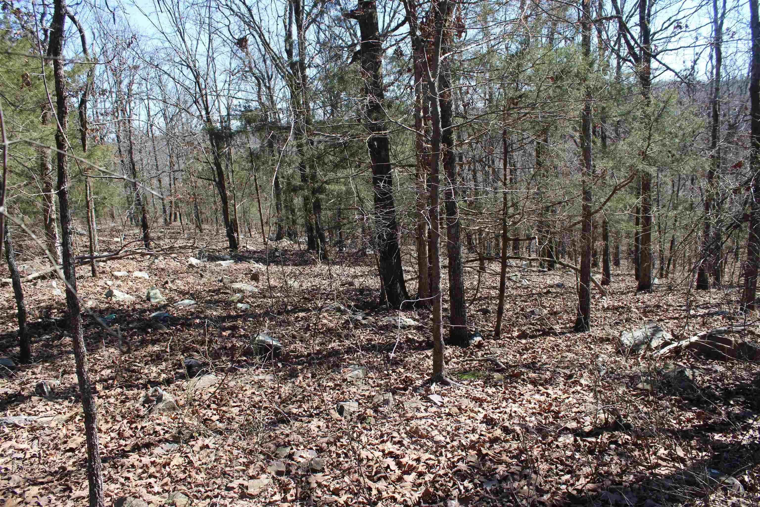 Property at Lot 20  Kelly - Image 19