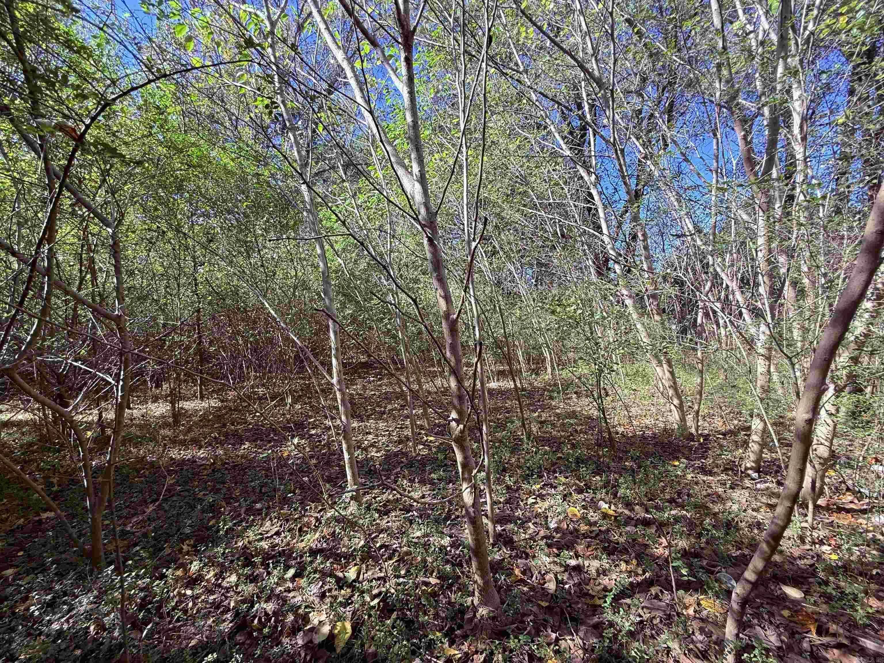 Property at 101  Indian trail - Image 10