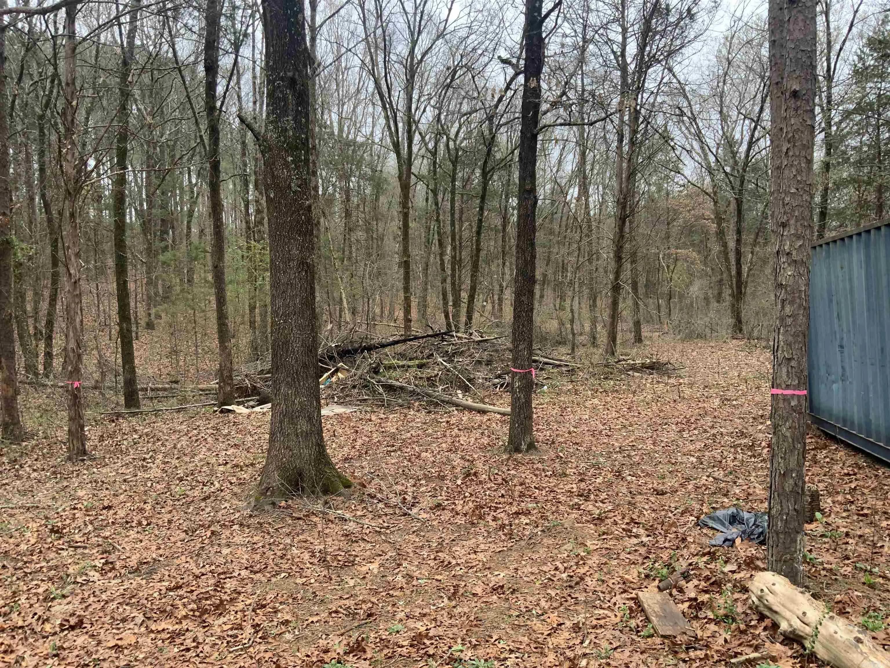 Property at 327  Pine timber - Image 8