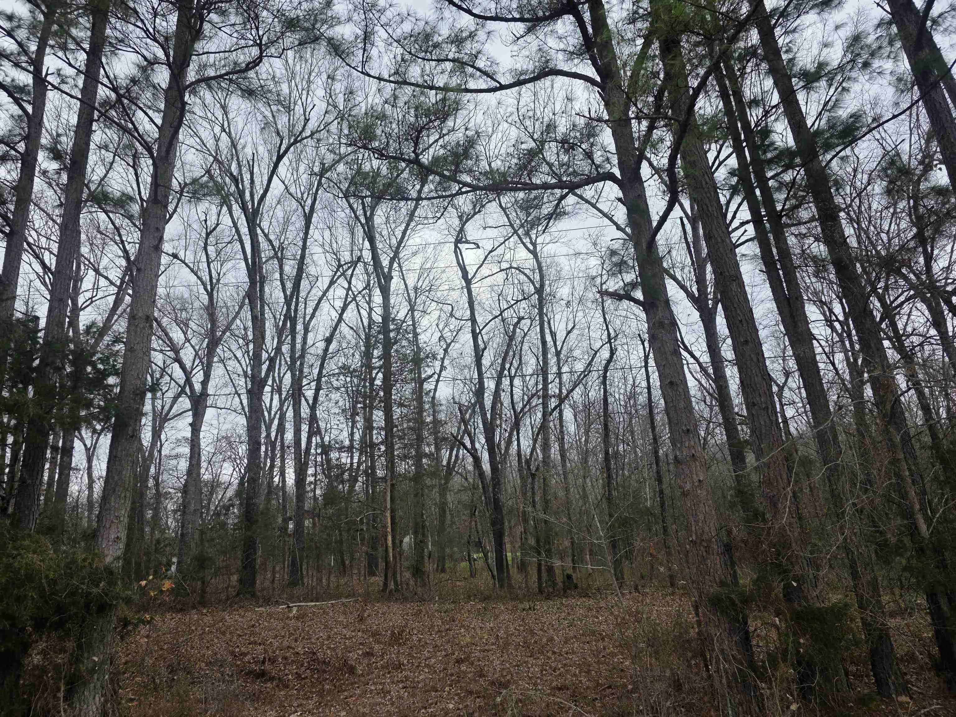 Property at 23 lots  Cherokee village & ozark acres - Image 4