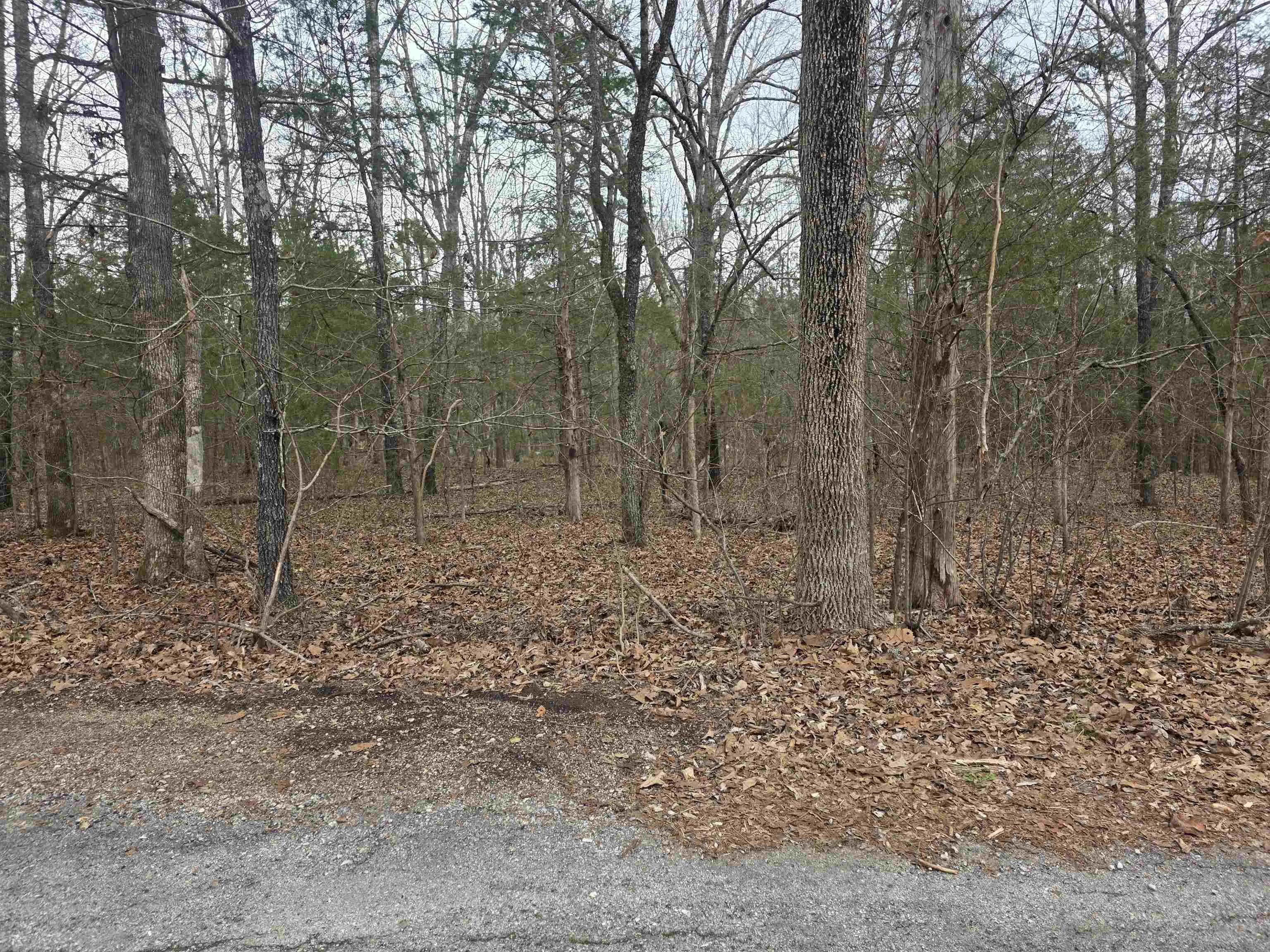 Property at 23 lots  Cherokee village & ozark acres - Image 8