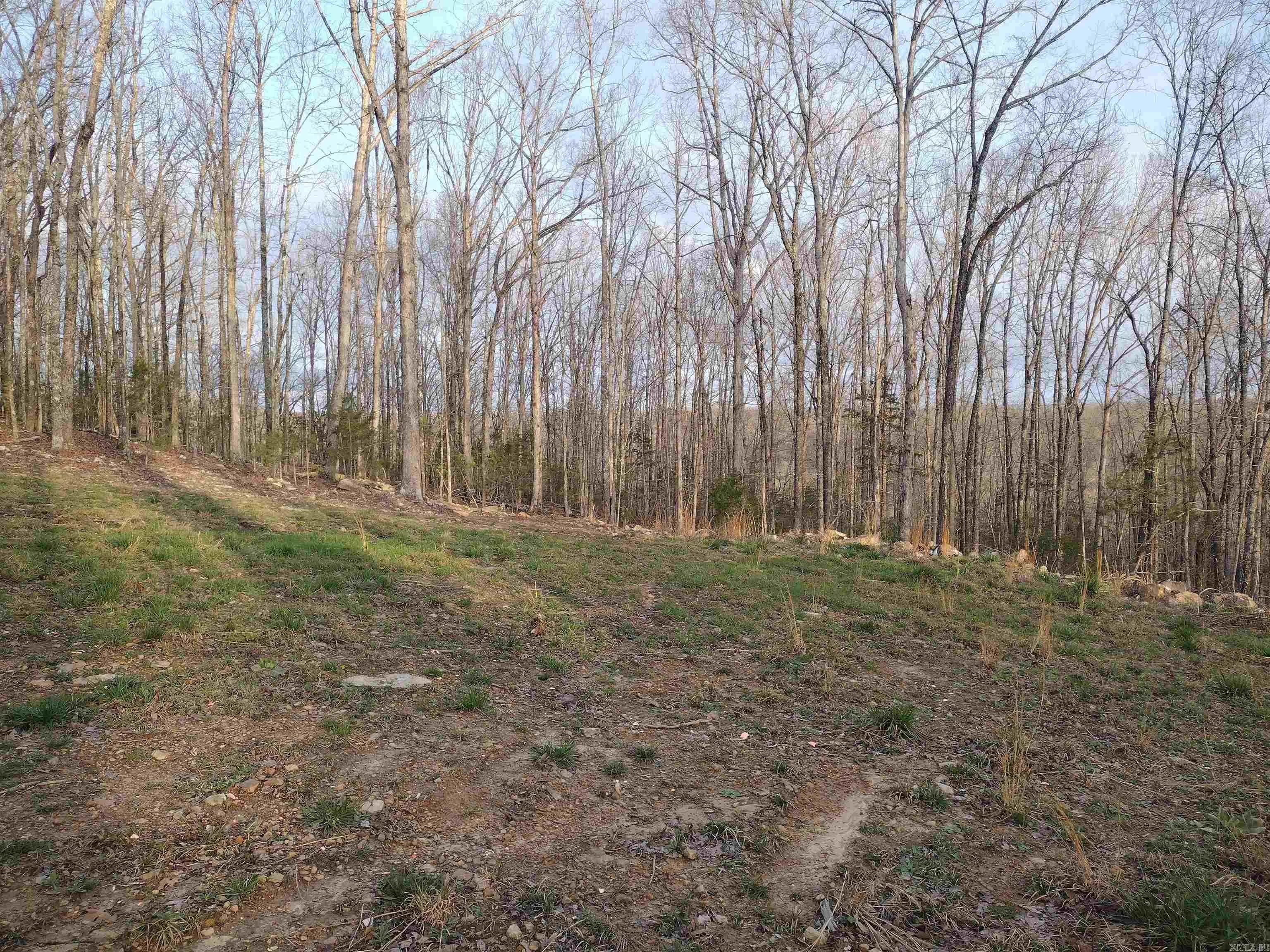 Property at Tract 2  Alamo dr - Image 19