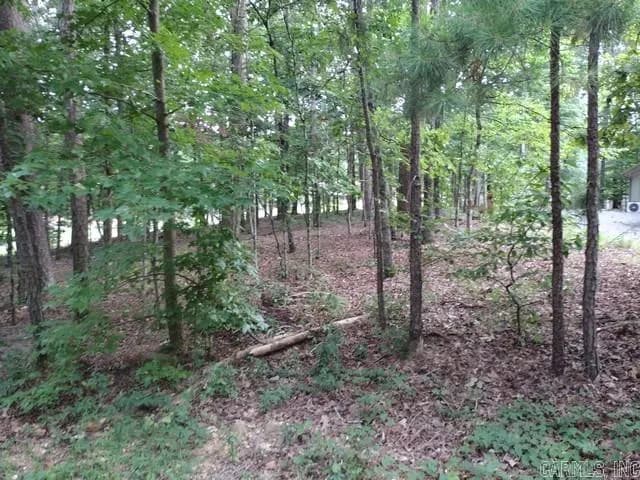 Property at 12  Acceso - Image 2