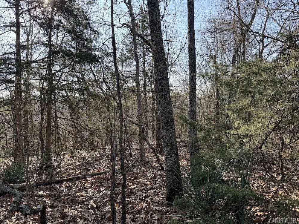 Property at Pecks drive n - Image 17
