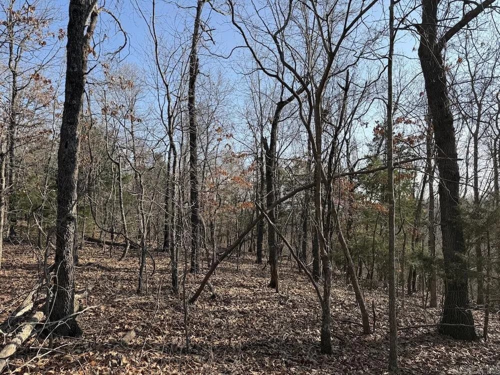 Property at Pecks drive n - Image 9