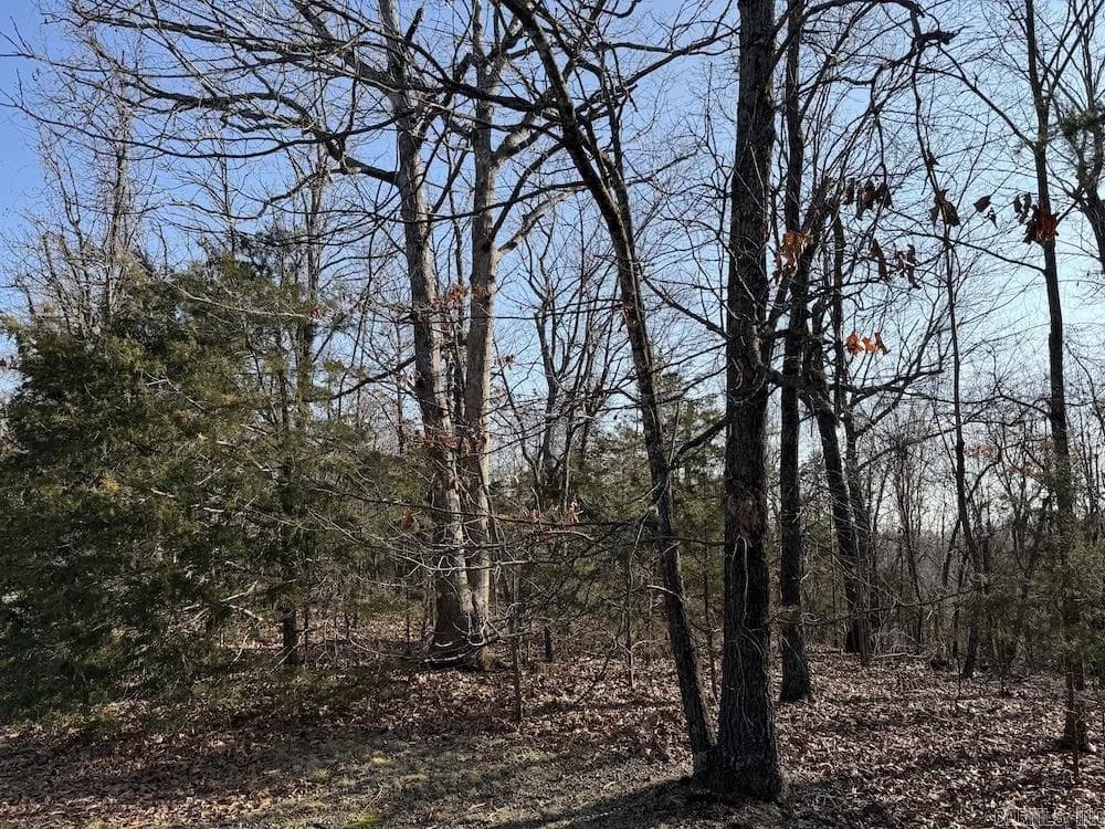 Property at Pecks drive n - Image 7
