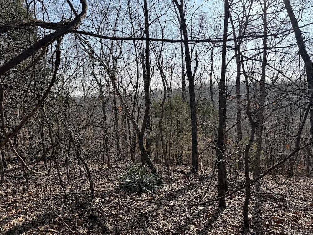 Property at Pecks drive n - Image 13