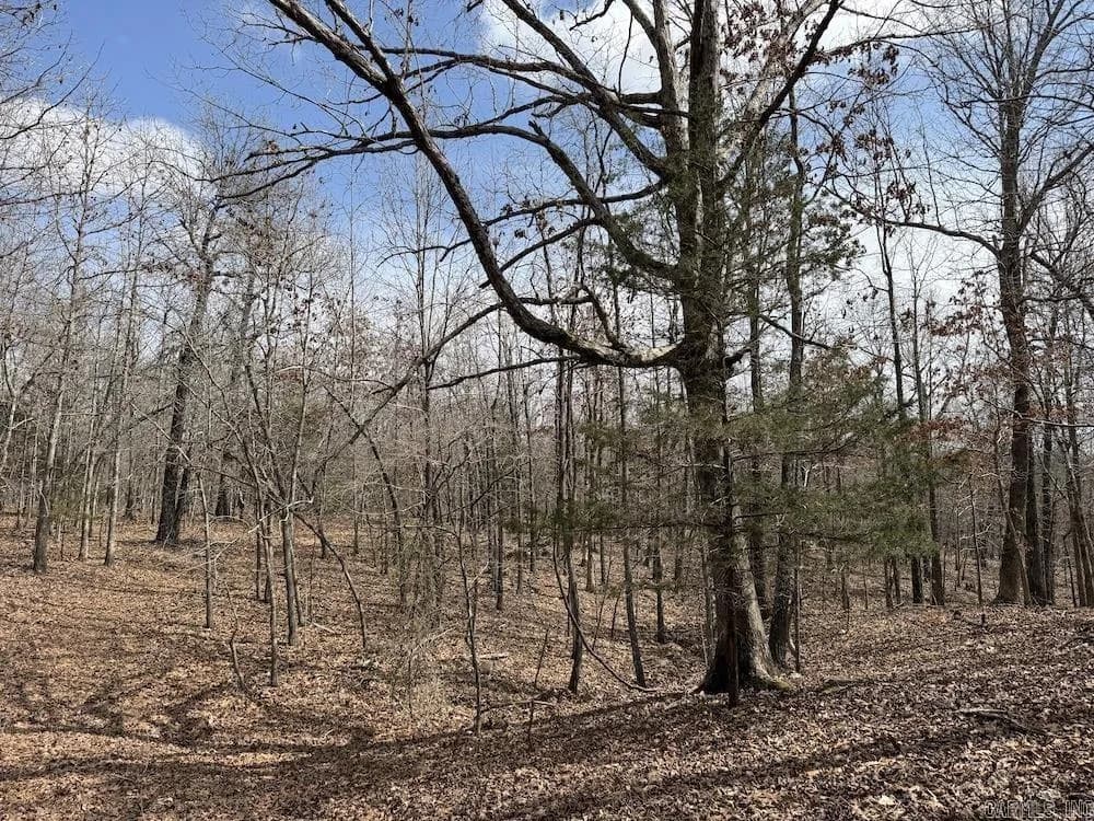 Property at Red bud road - Image 47