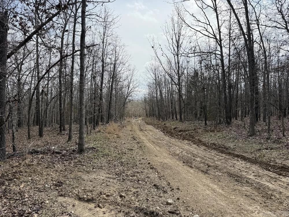 Property at Red bud road - Image 34