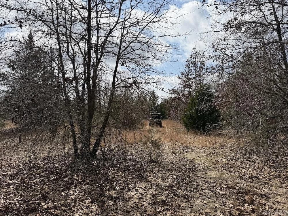 Property at Red bud road - Image 44