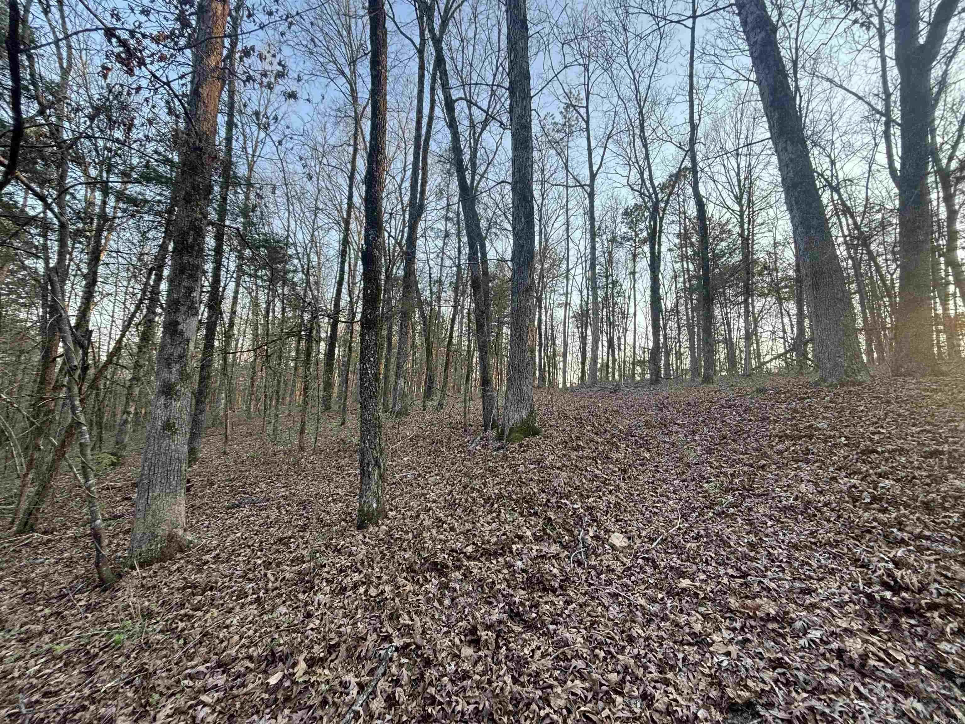Property at 00  Countryside dr - Image 8