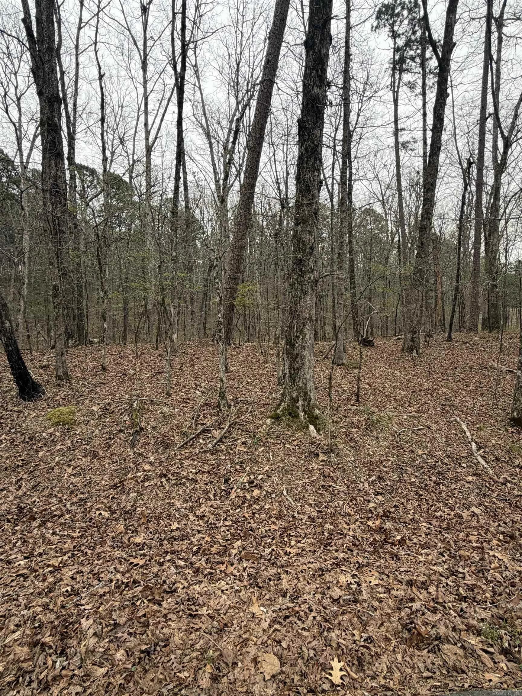 Property at 4  Sumar - Image 2