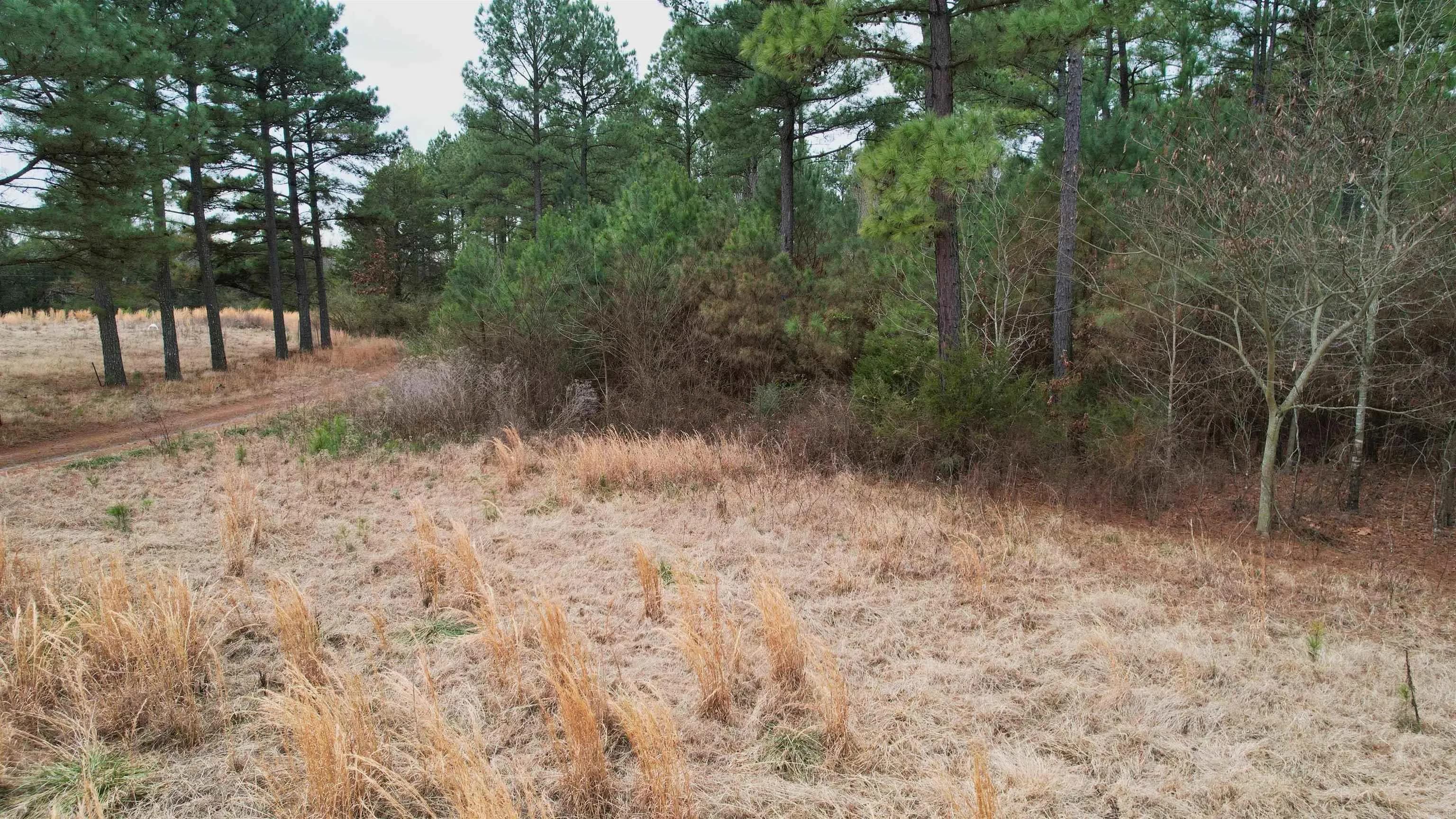 Property at 428  Pumpkin center - Image 24