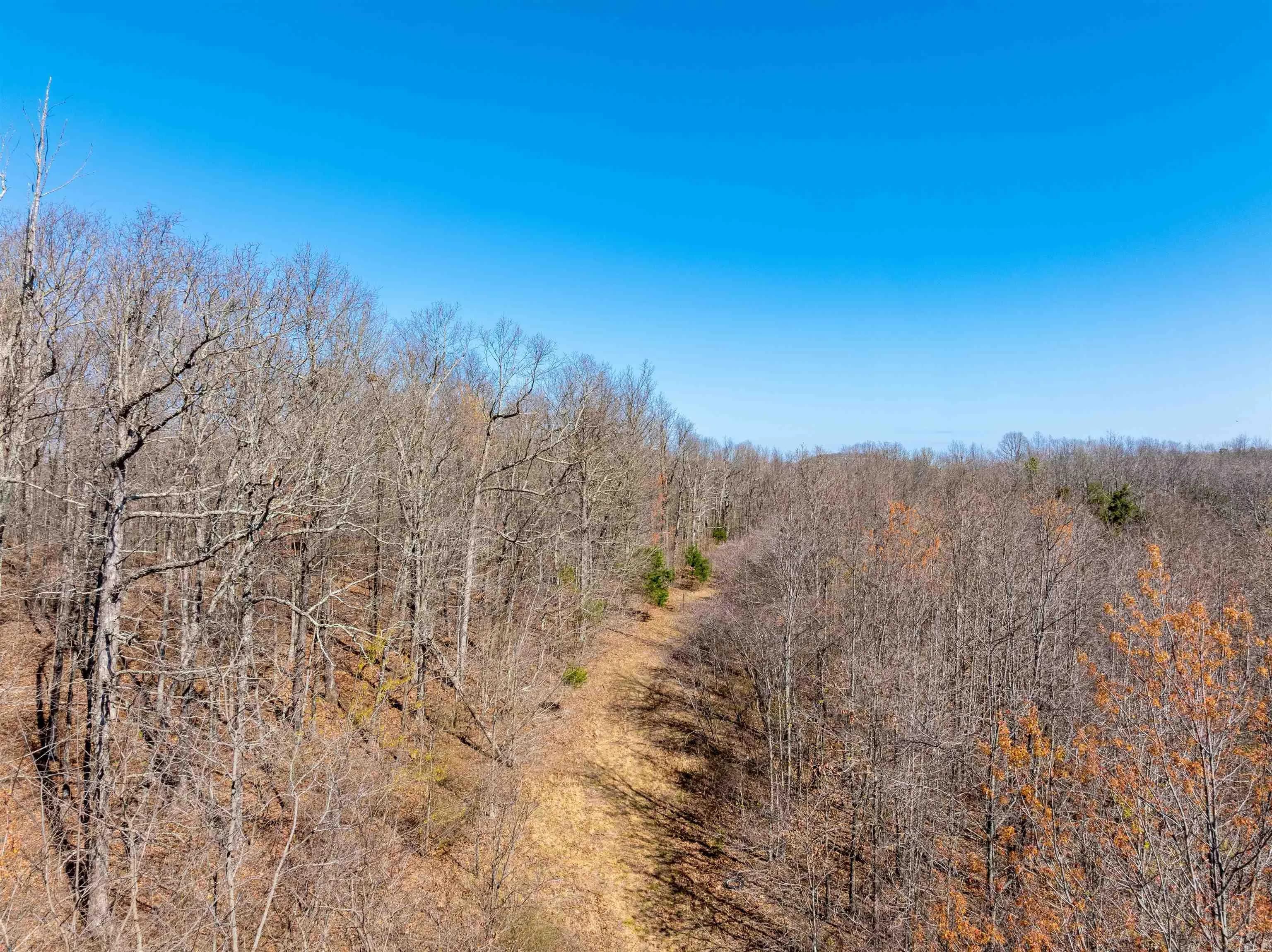 Property at 0  Jimmy creek - Image 13