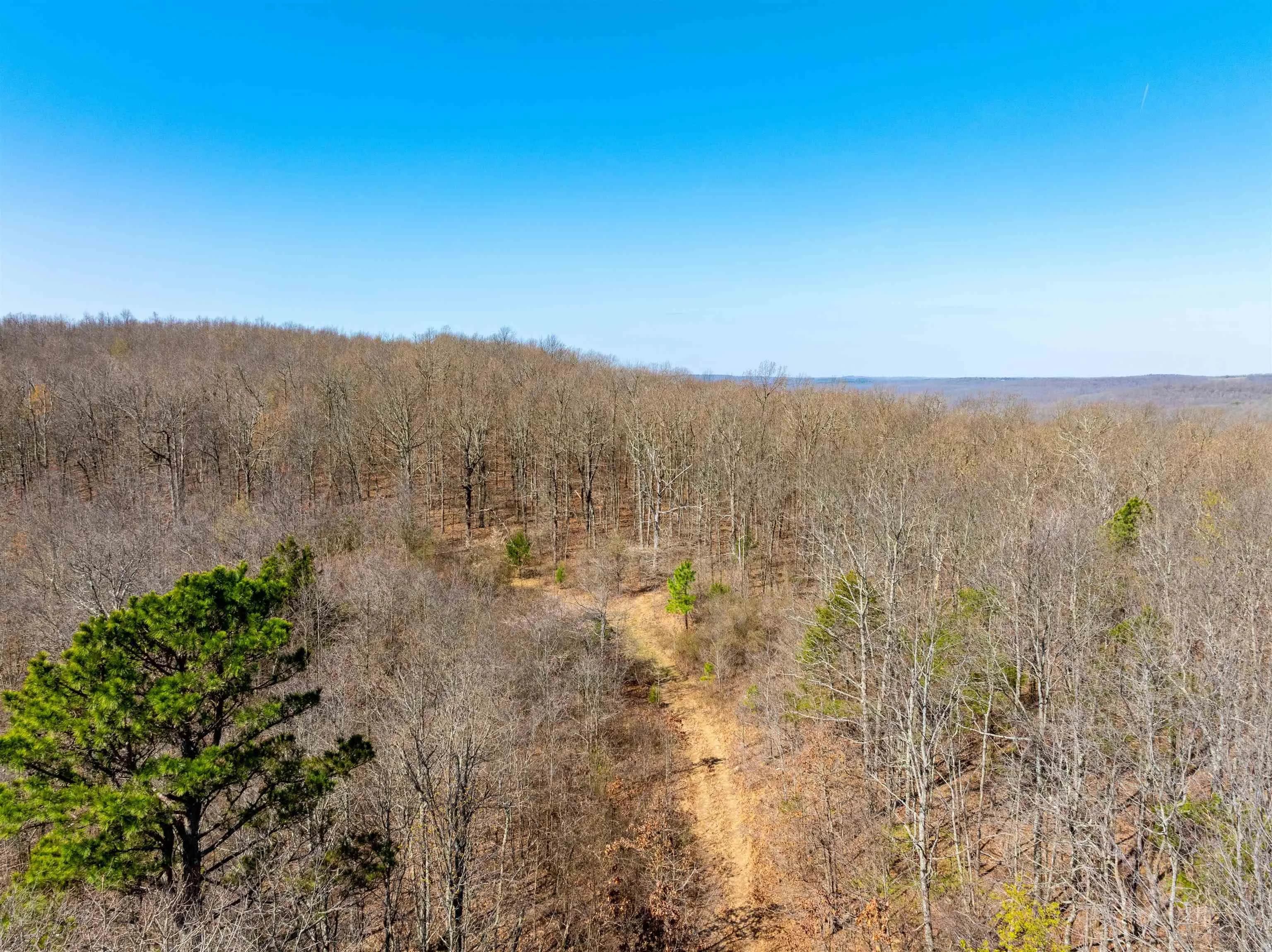 Property at 0  Jimmy creek - Image 32