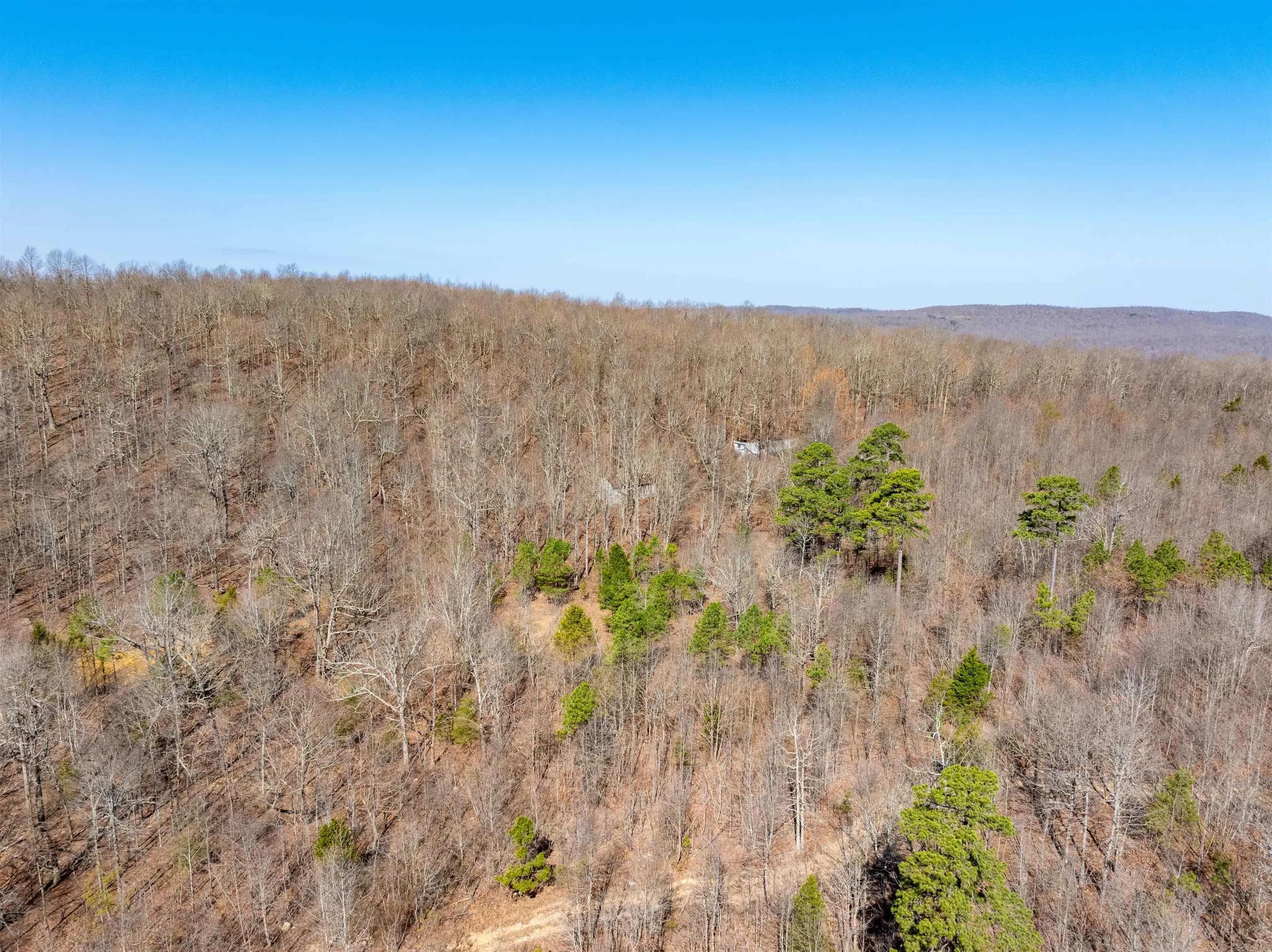 Property at 0  Jimmy creek - Image 9