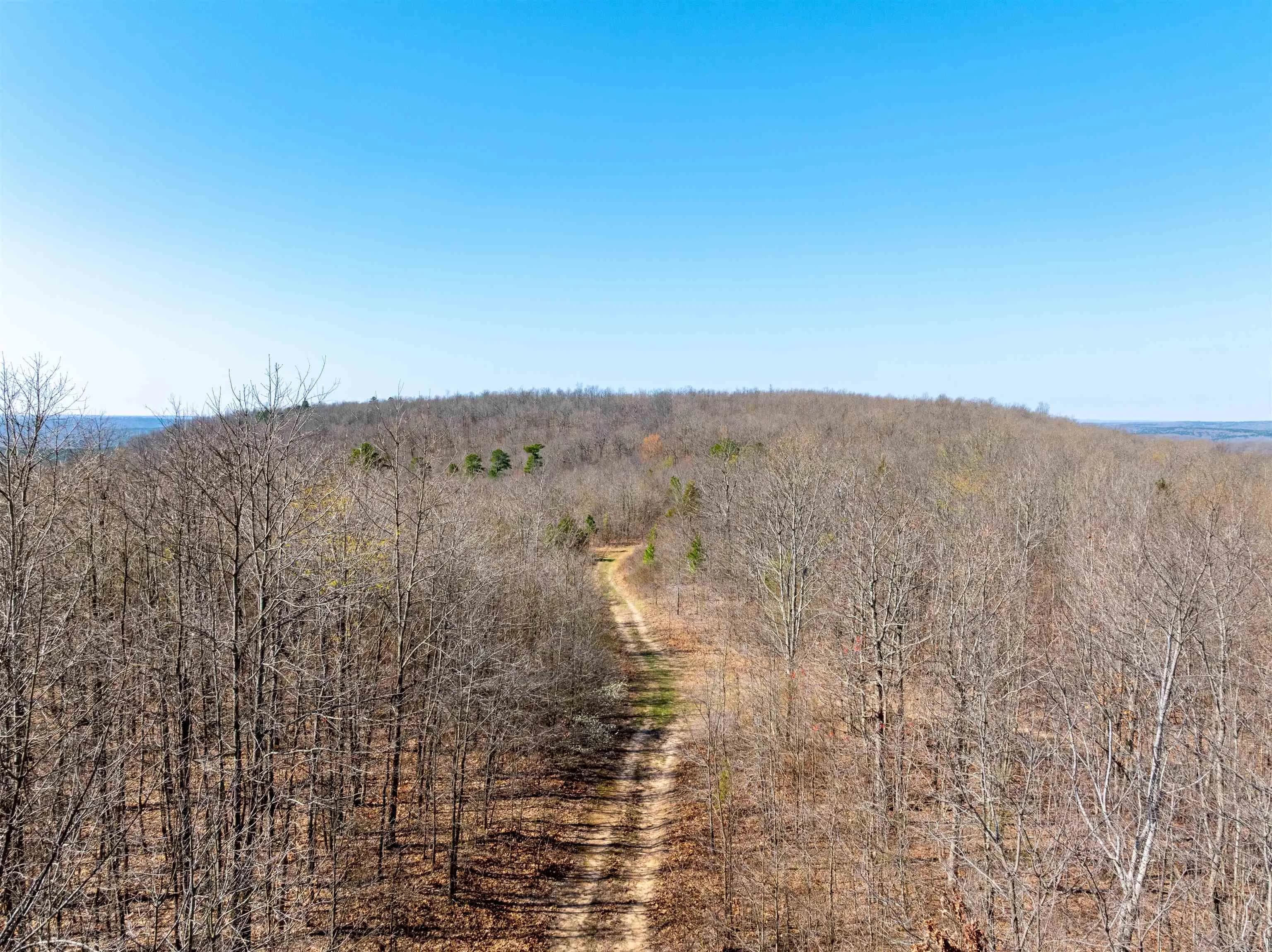 Property at 0  Jimmy creek - Image 14