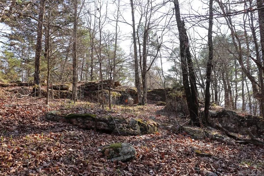 Property at 0000  Union hill - Image 50