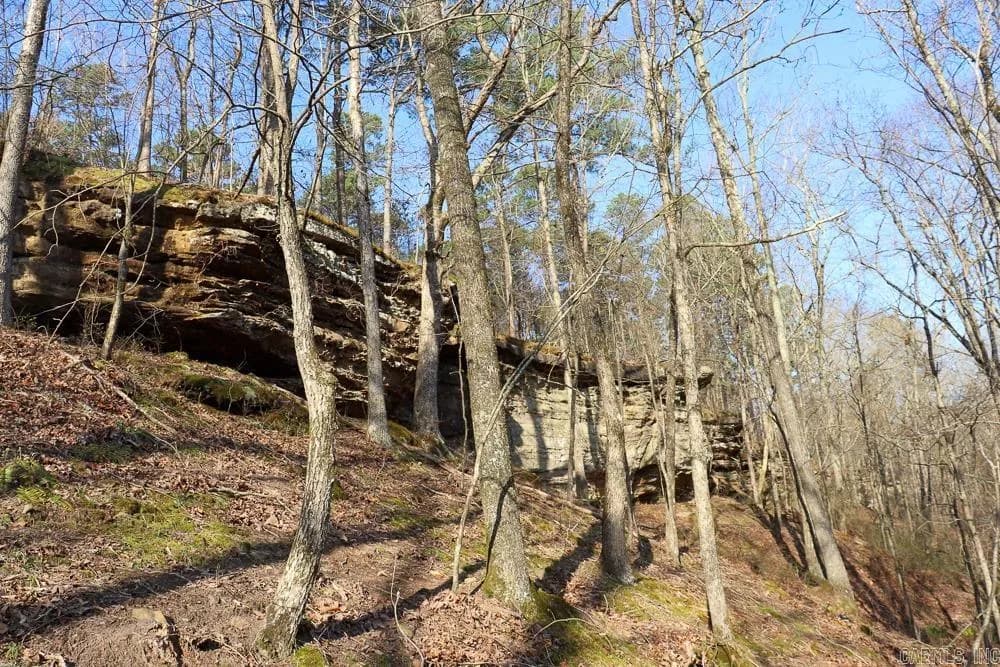 Property at 0000  Union hill - Image 32