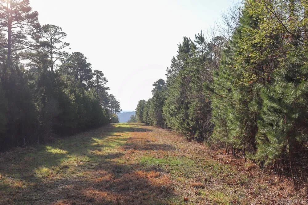 Property at 0000  Union hill - Image 20