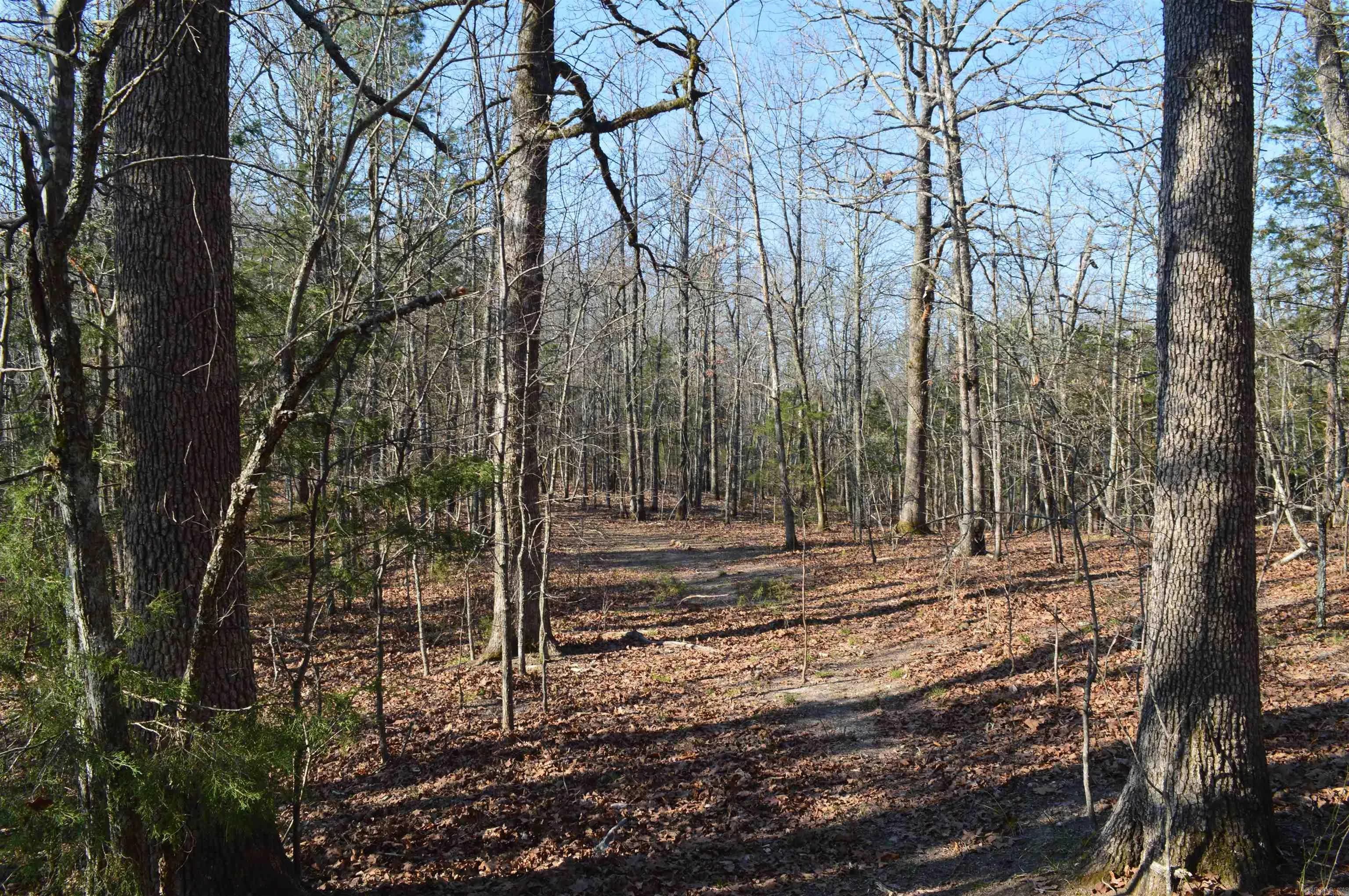 Property at 000  Schnauzer ln - Image 9