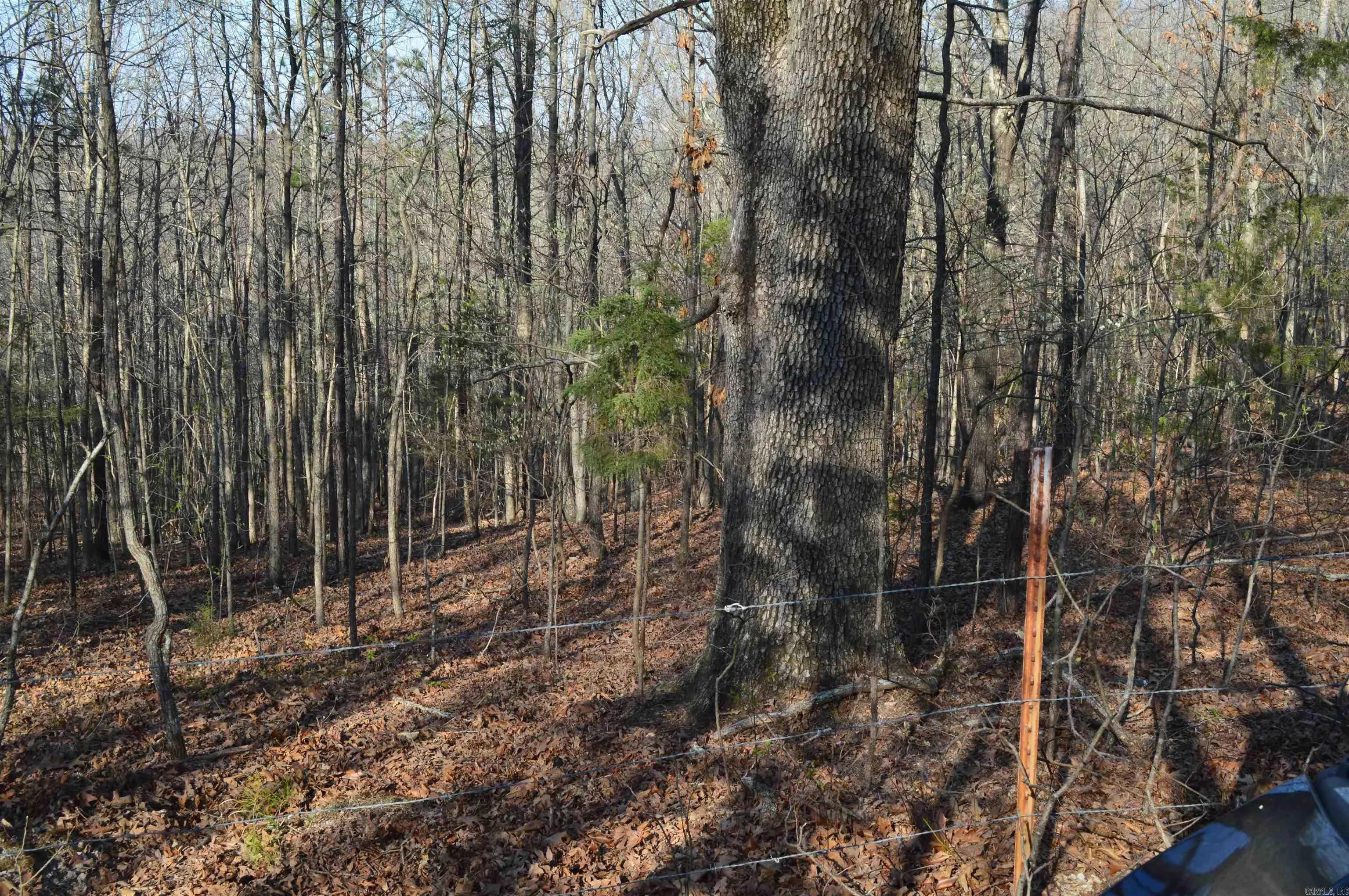 Property at 000  Schnauzer ln - Image 15