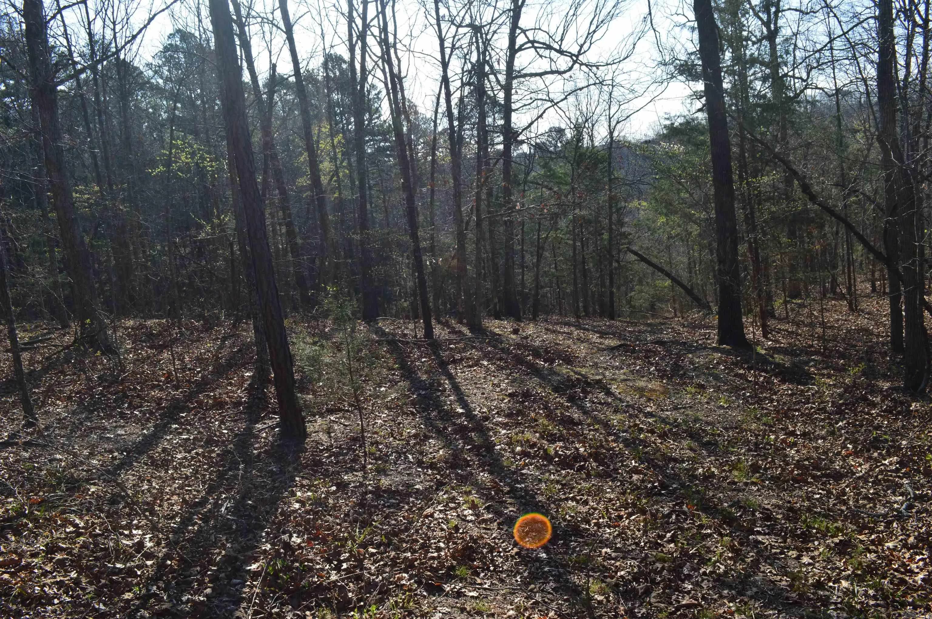 Property at 000  Schnauzer ln - Image 10