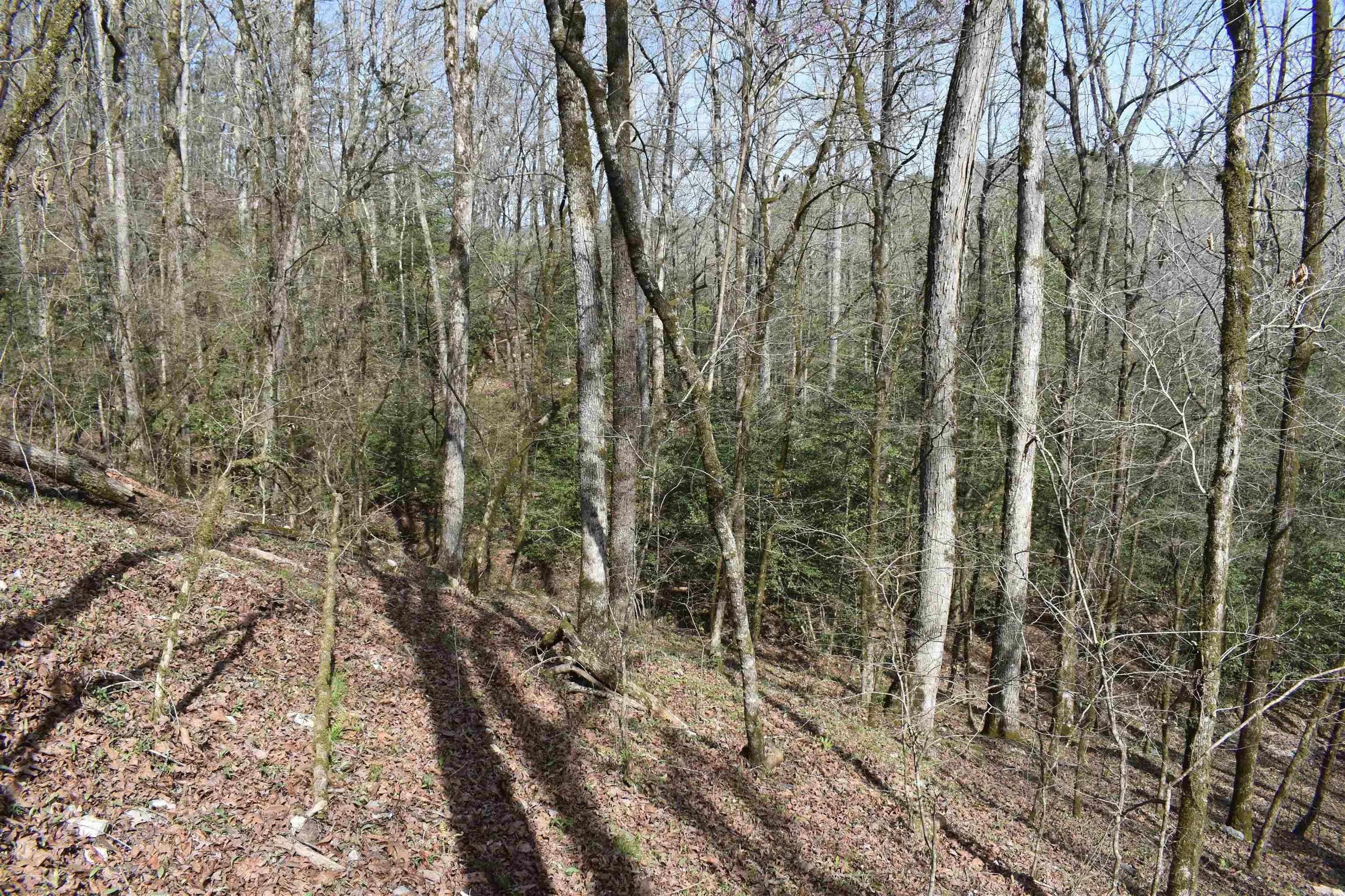 Property at 0000  Old dallas road - Image 5