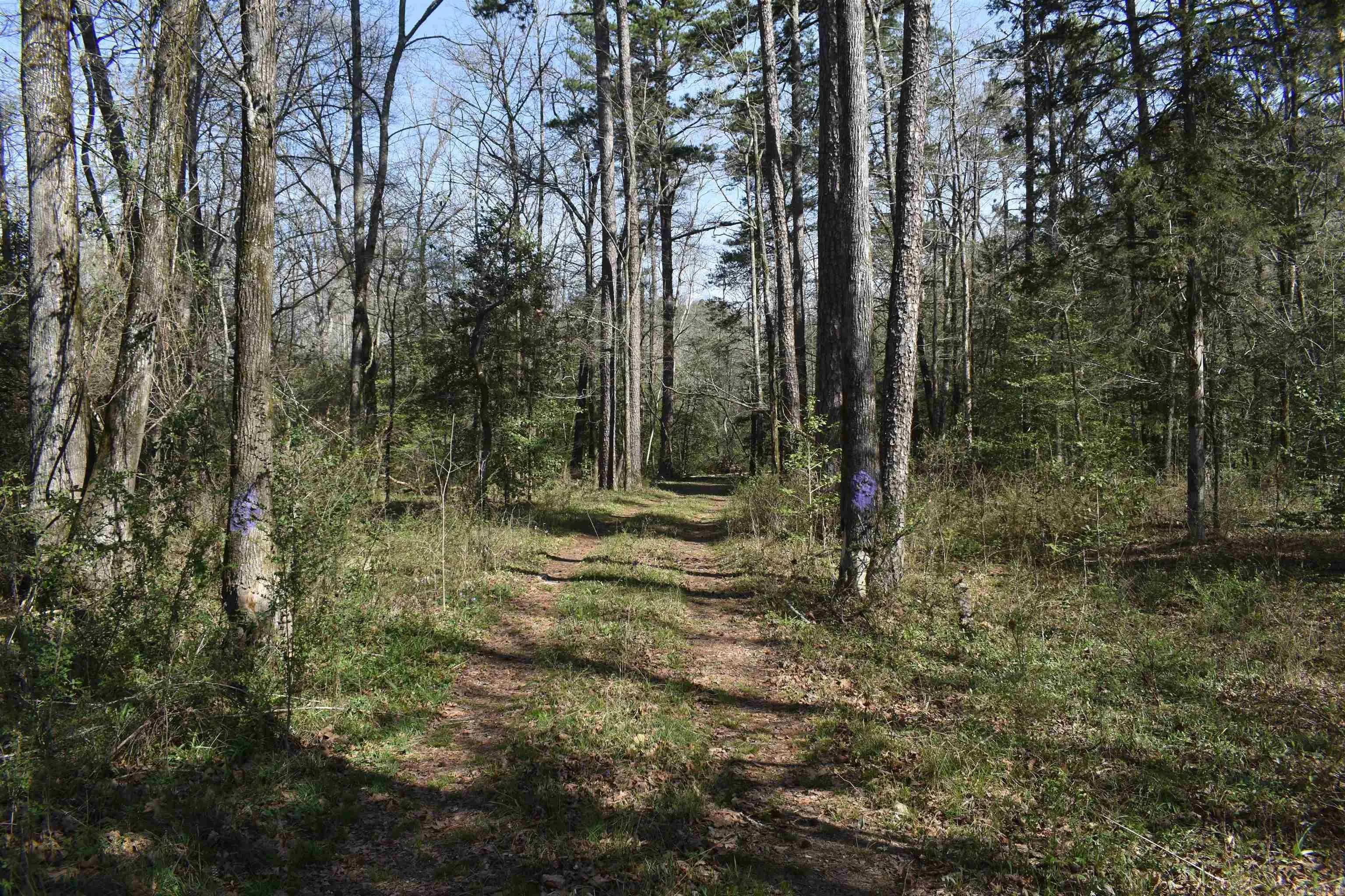 Property at 0000  Old dallas road - Image 37