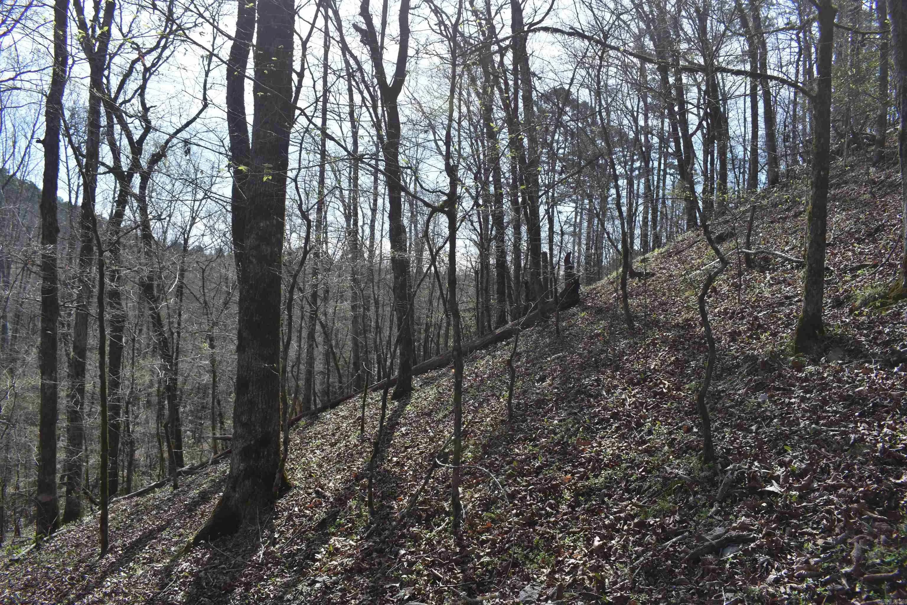 Property at 0000  Old dallas road - Image 6