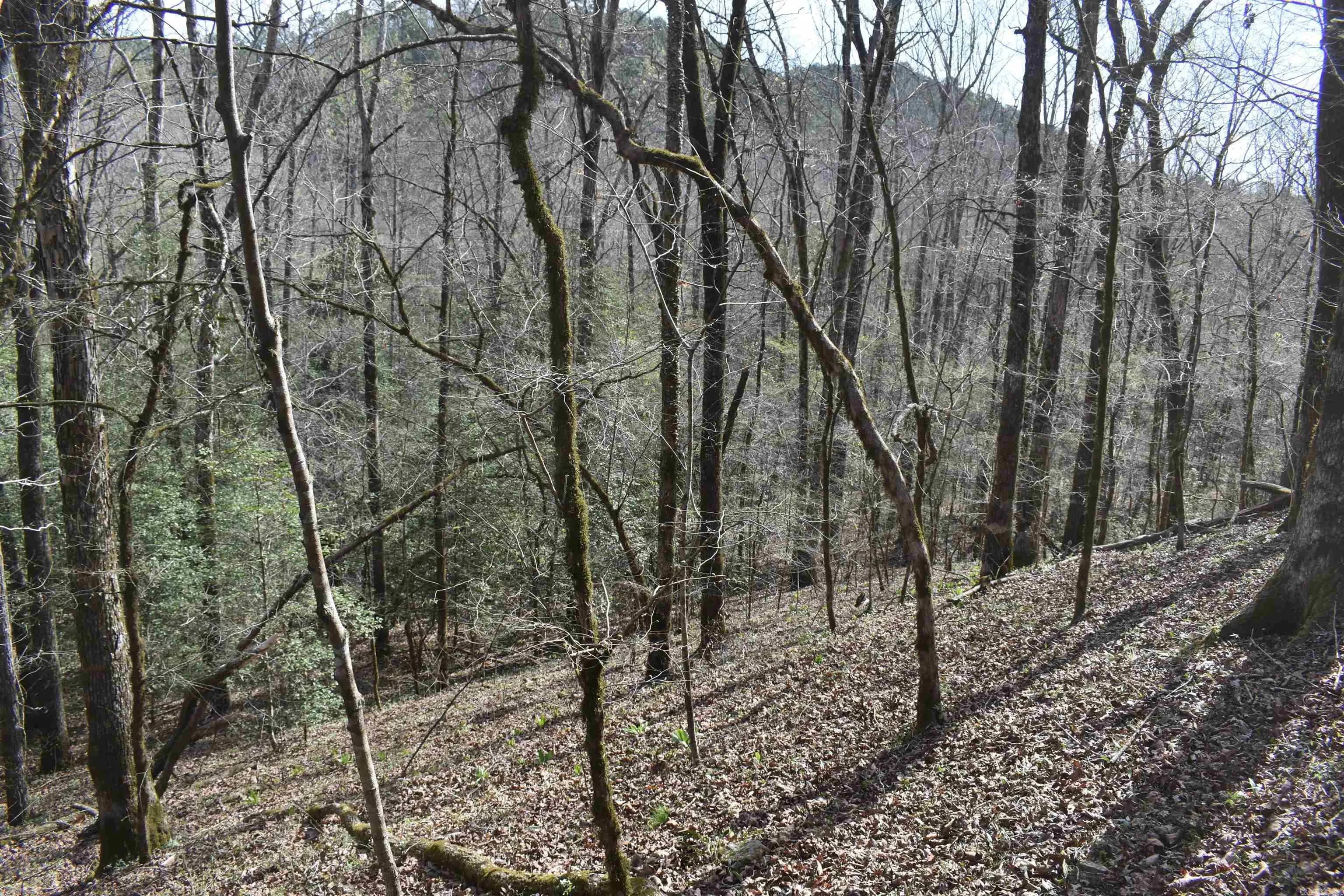 Property at 0000  Old dallas road - Image 8