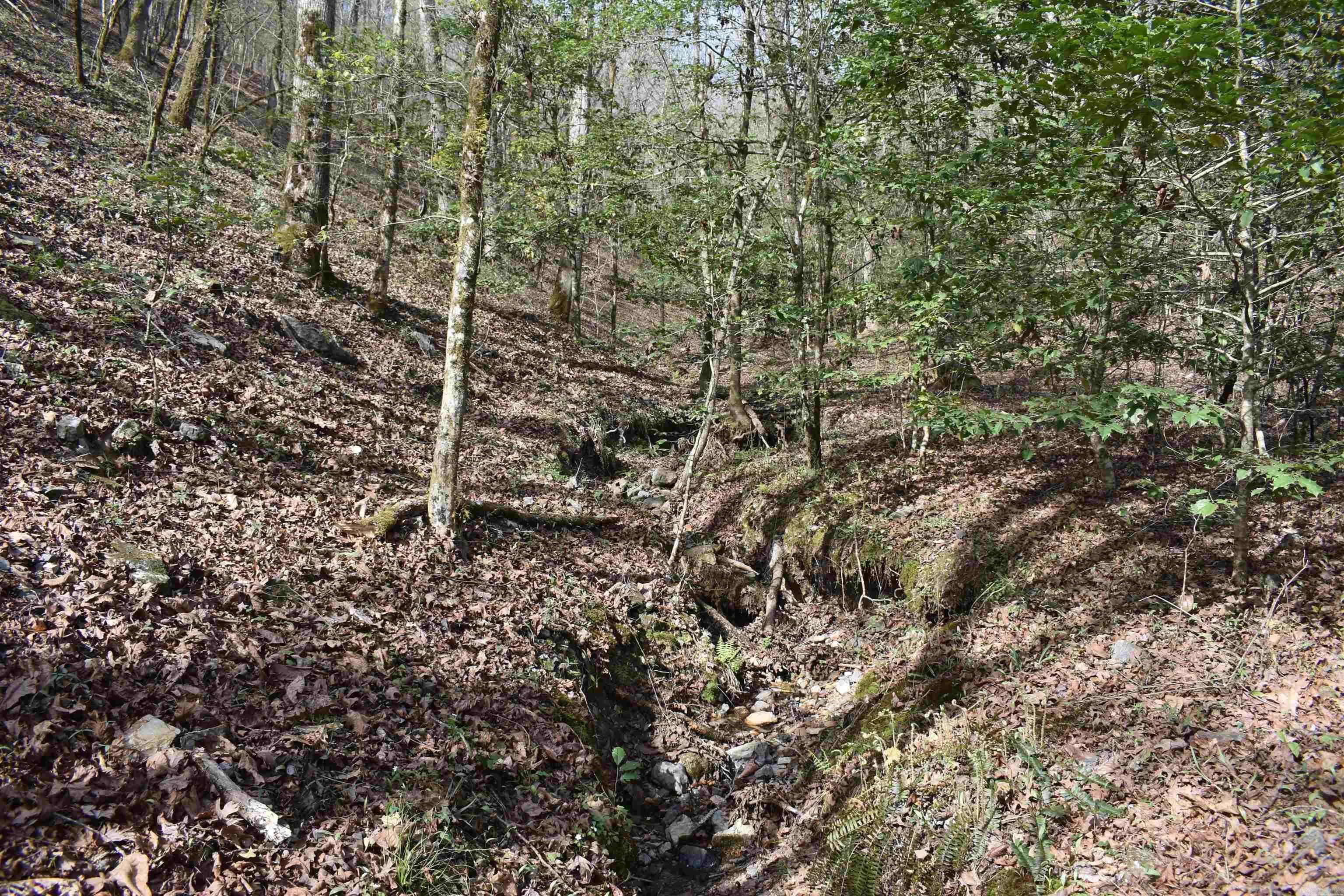 Property at 0000  Old dallas road - Image 10
