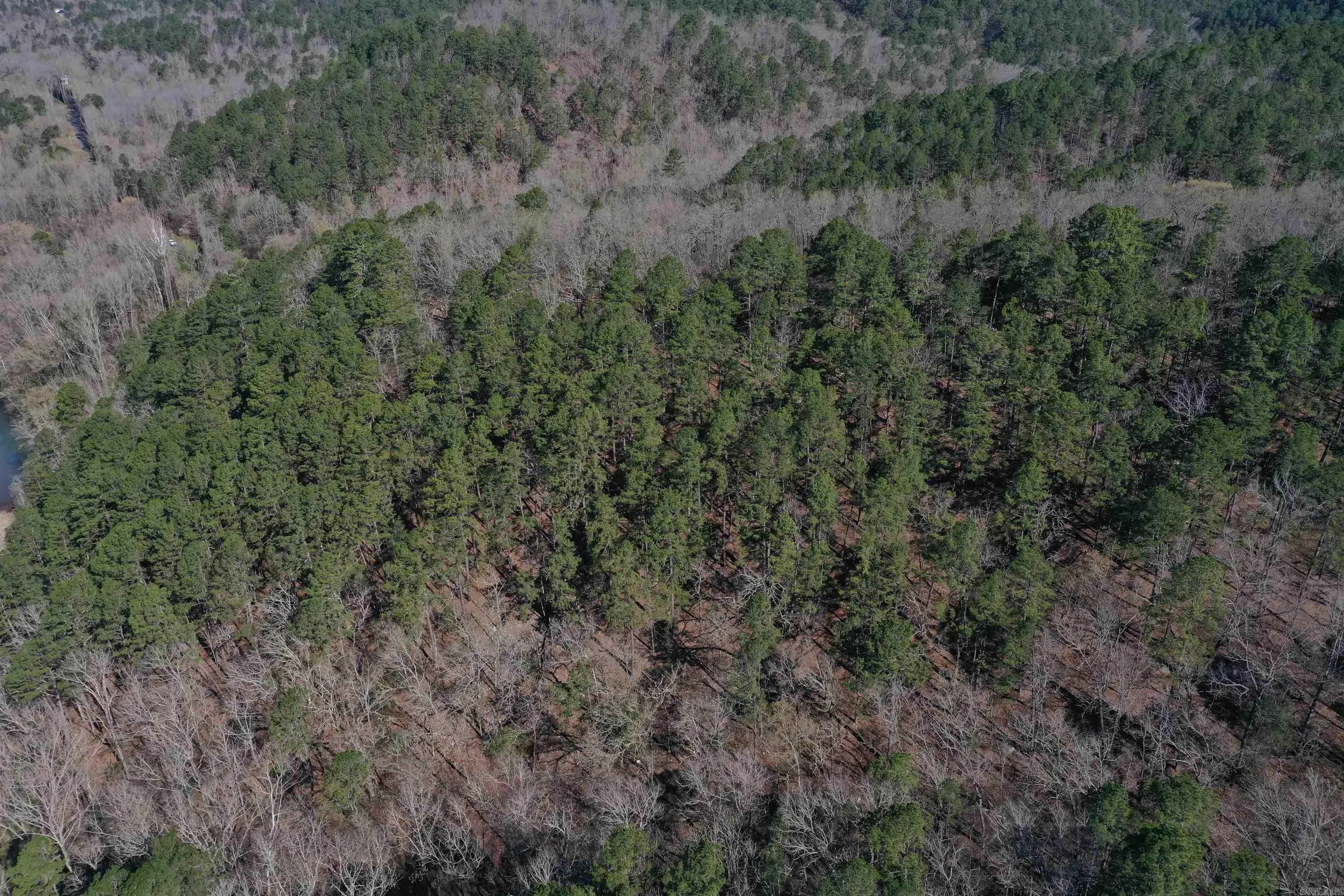 Property at 0000  Old dallas road - Image 13