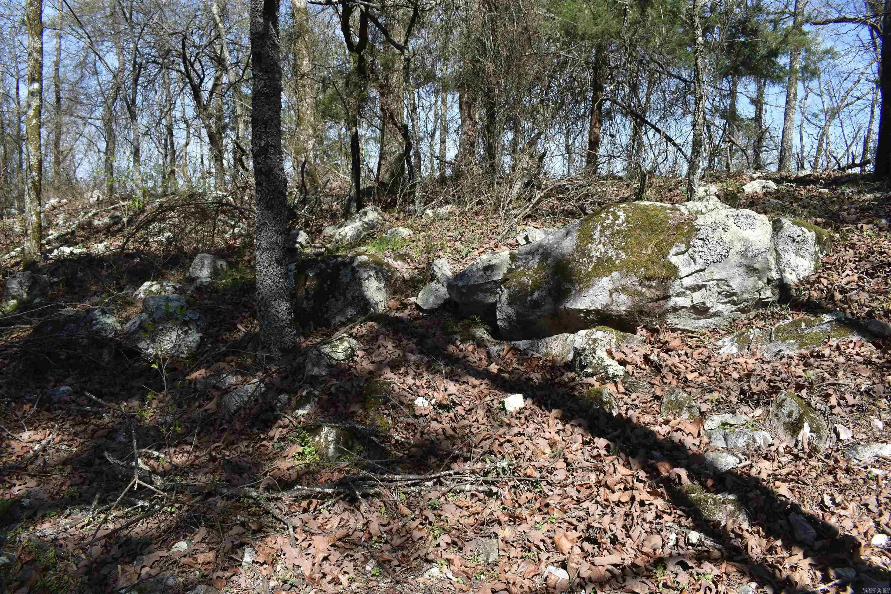 Property at 0000  Old dallas road - Image 31