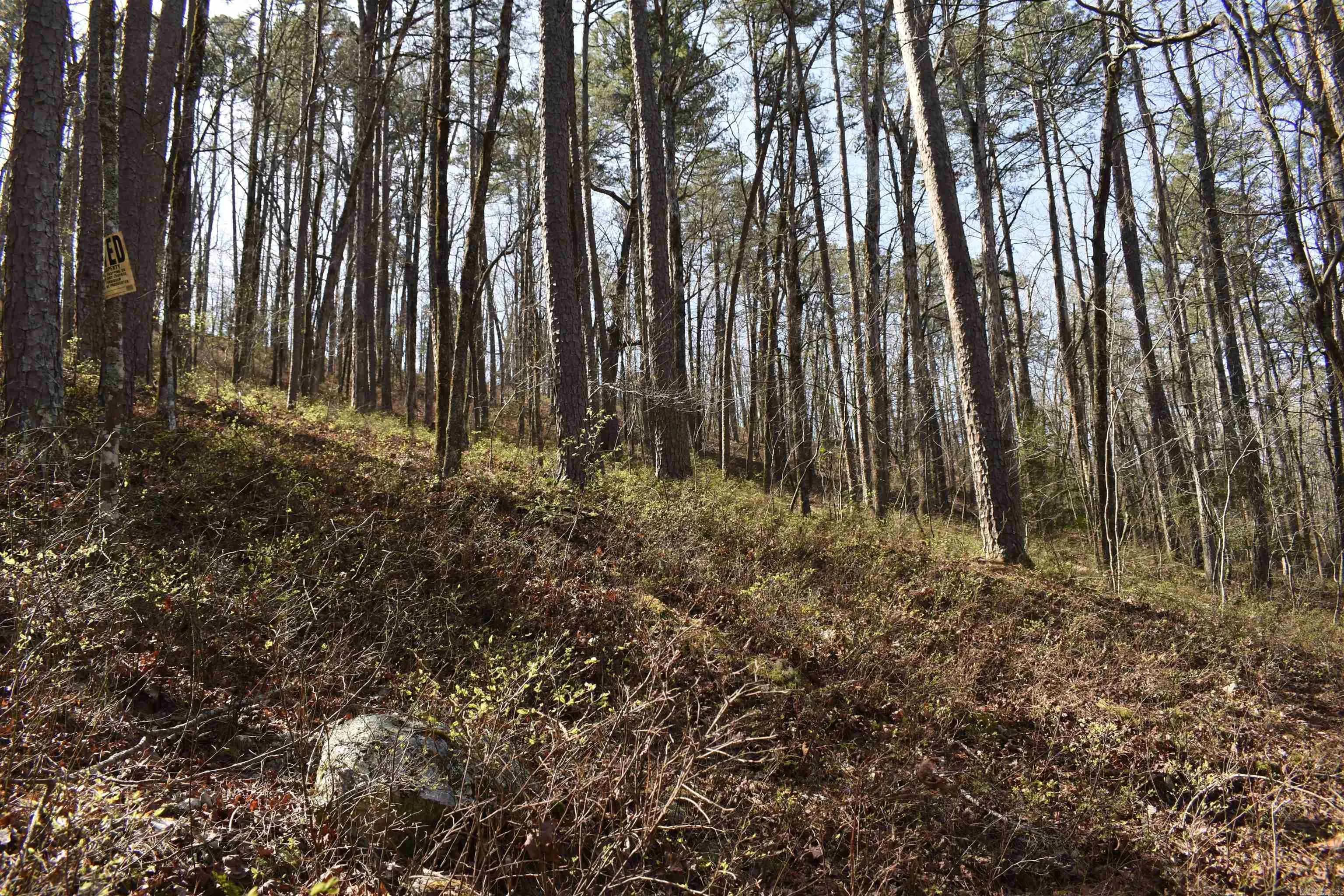 Property at 0000  Old dallas road - Image 27