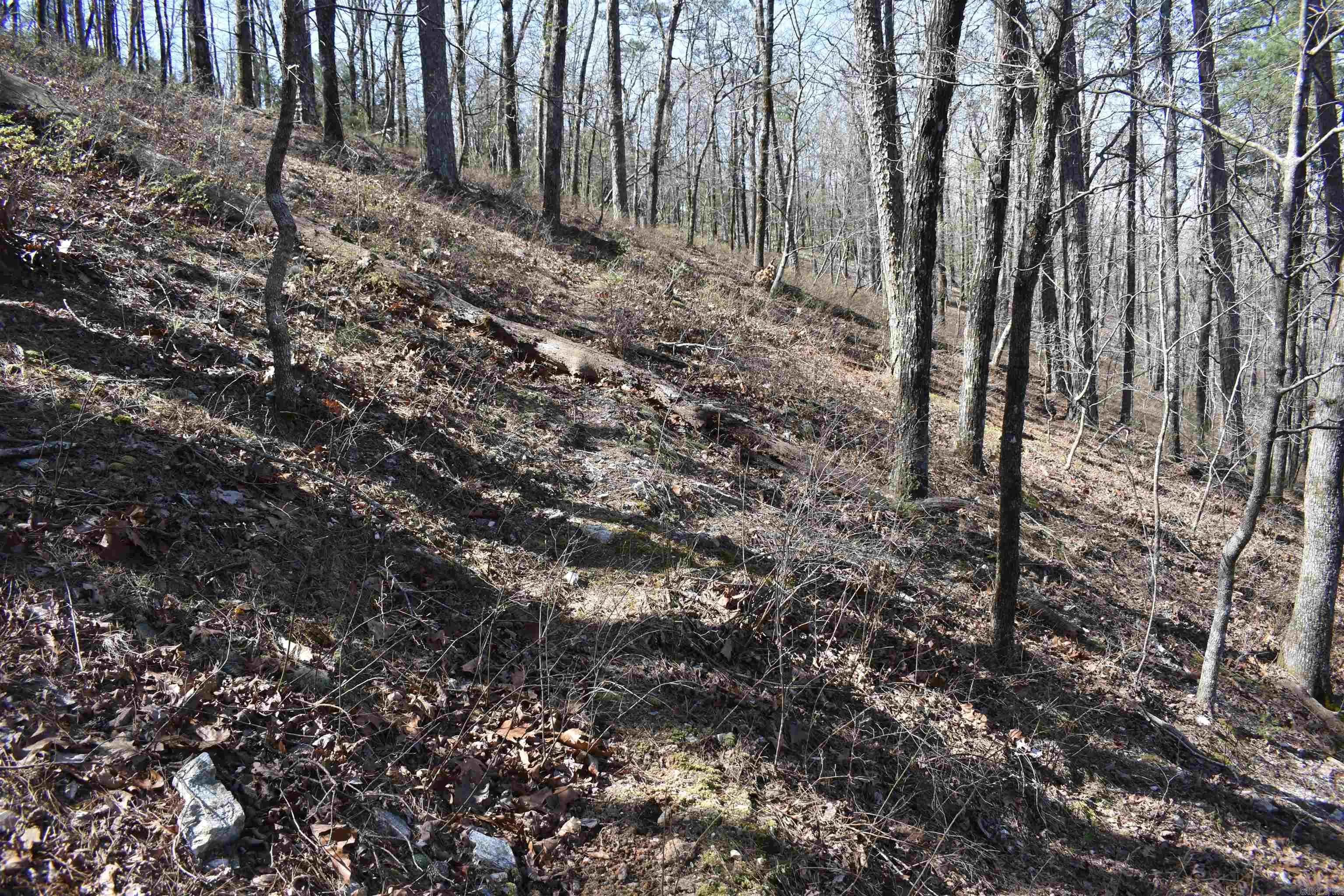Property at 0000  Old dallas road - Image 21