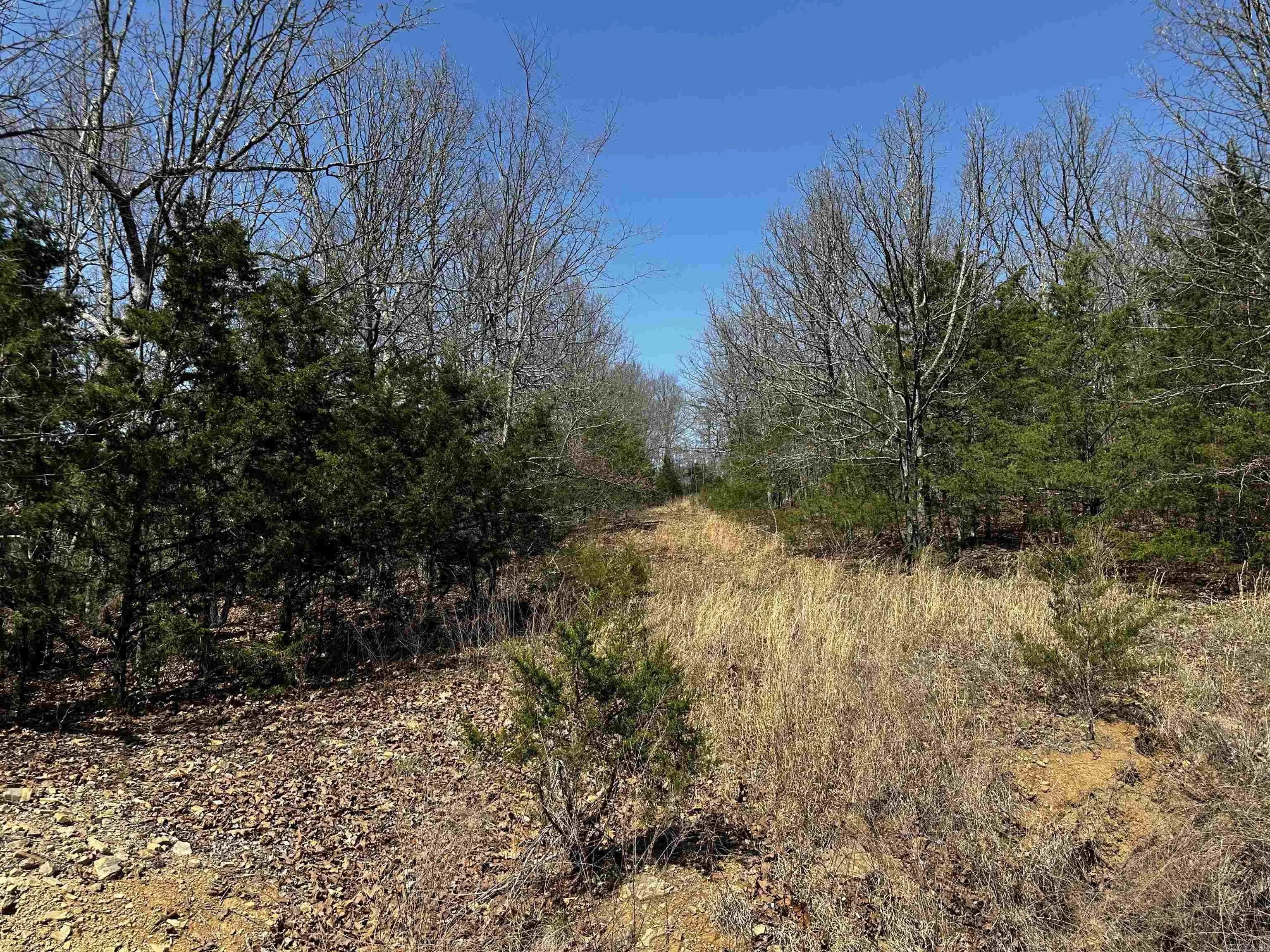 Property at 000  Horton hill - Image 19