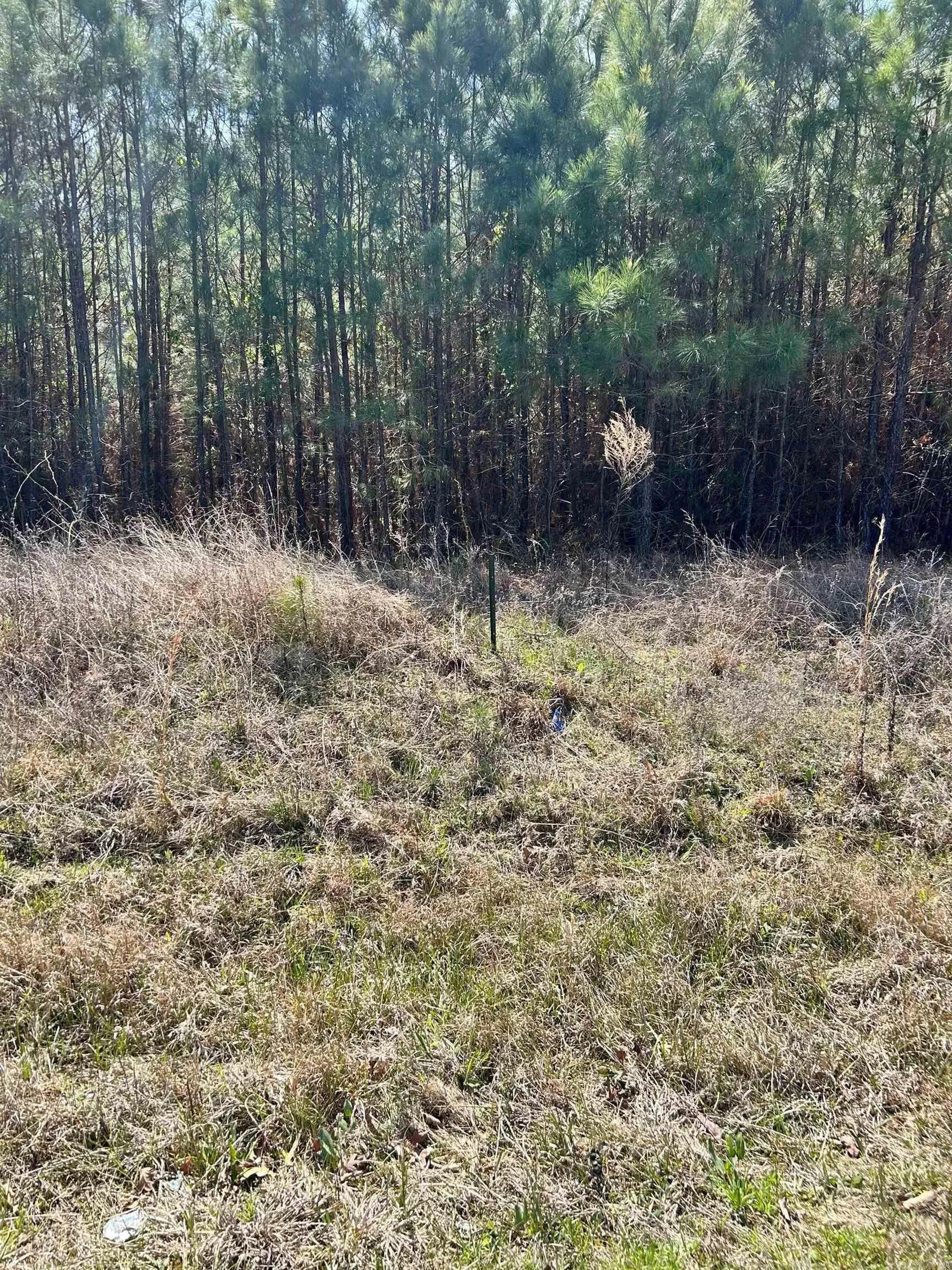 Property at Dunkeffie - Image 13