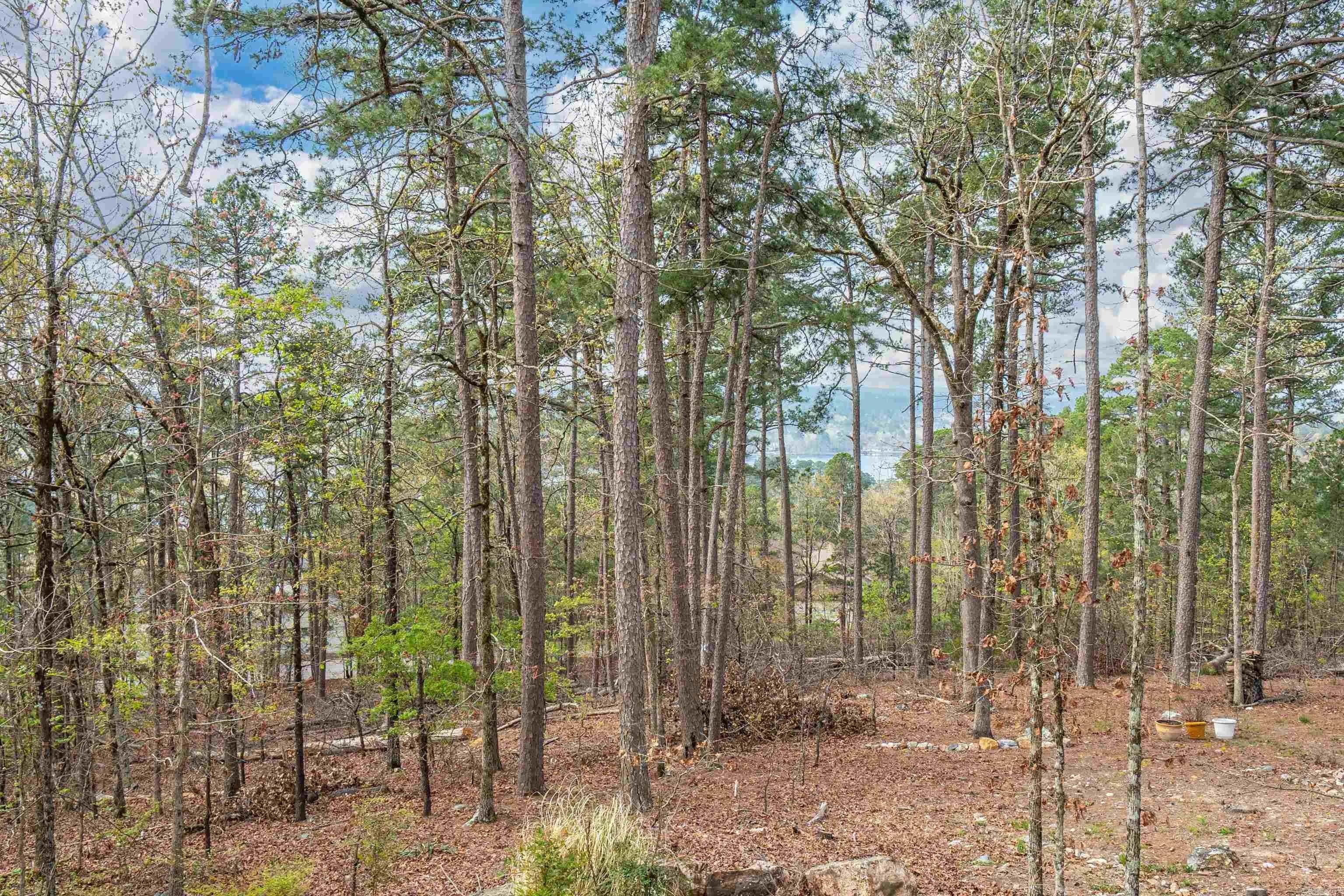 Property at 20  Hanares - Image 36