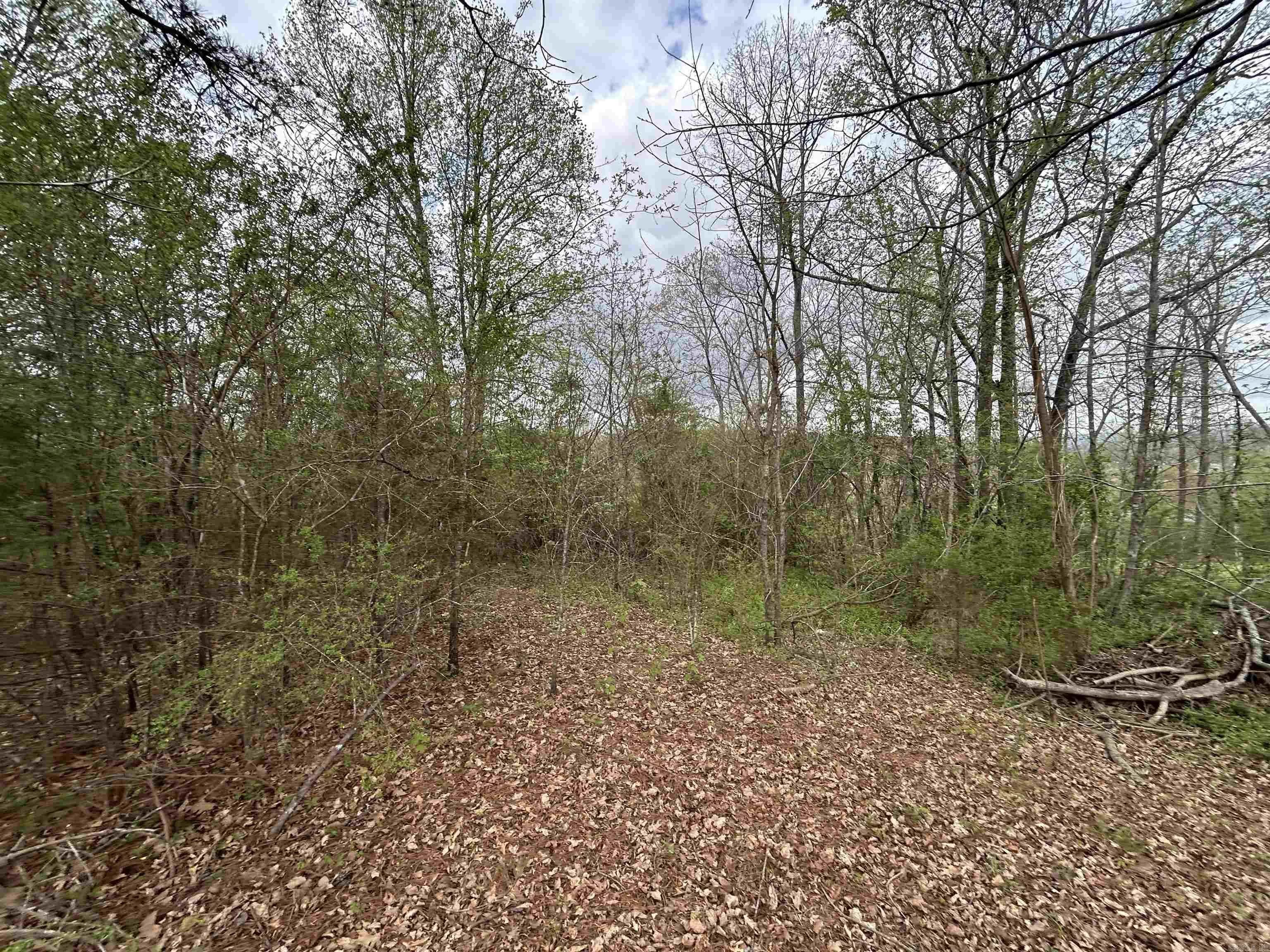 Property at 156 W James - Image 8