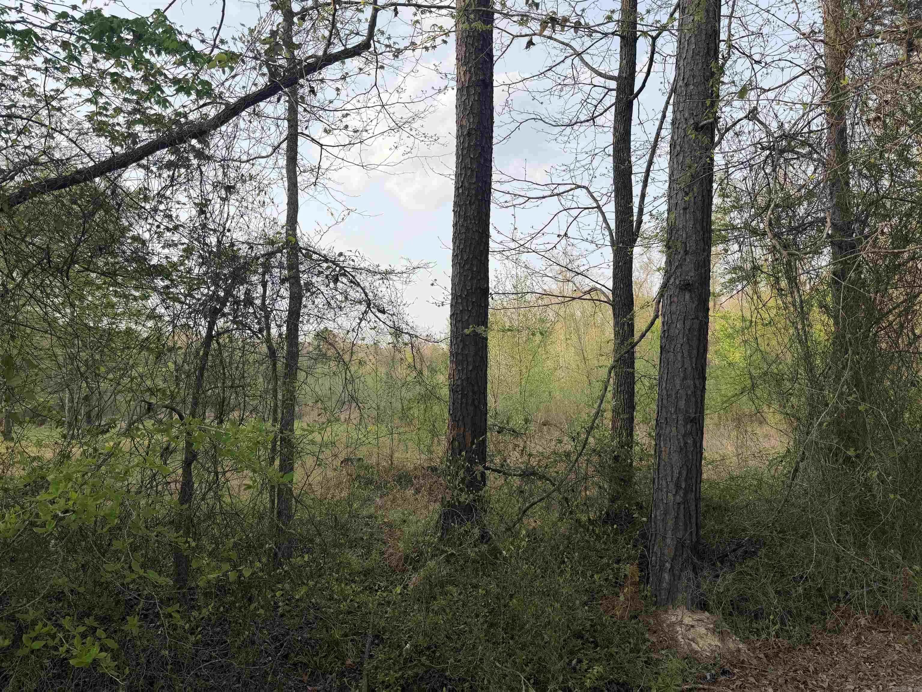 Property at 1507  Dixon - Image 3