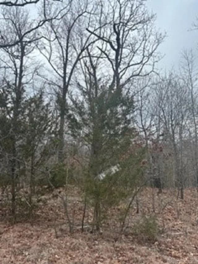 Property at Lot 14 & 15  Buckhead lane - Image 8