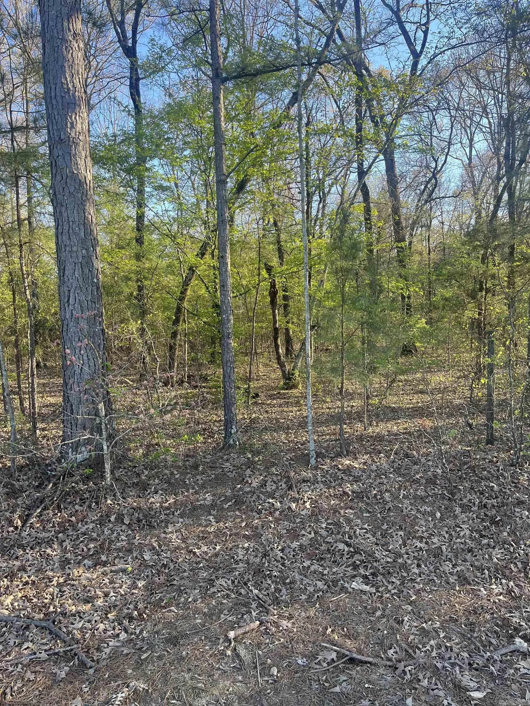 Property at Hoover - Image 5