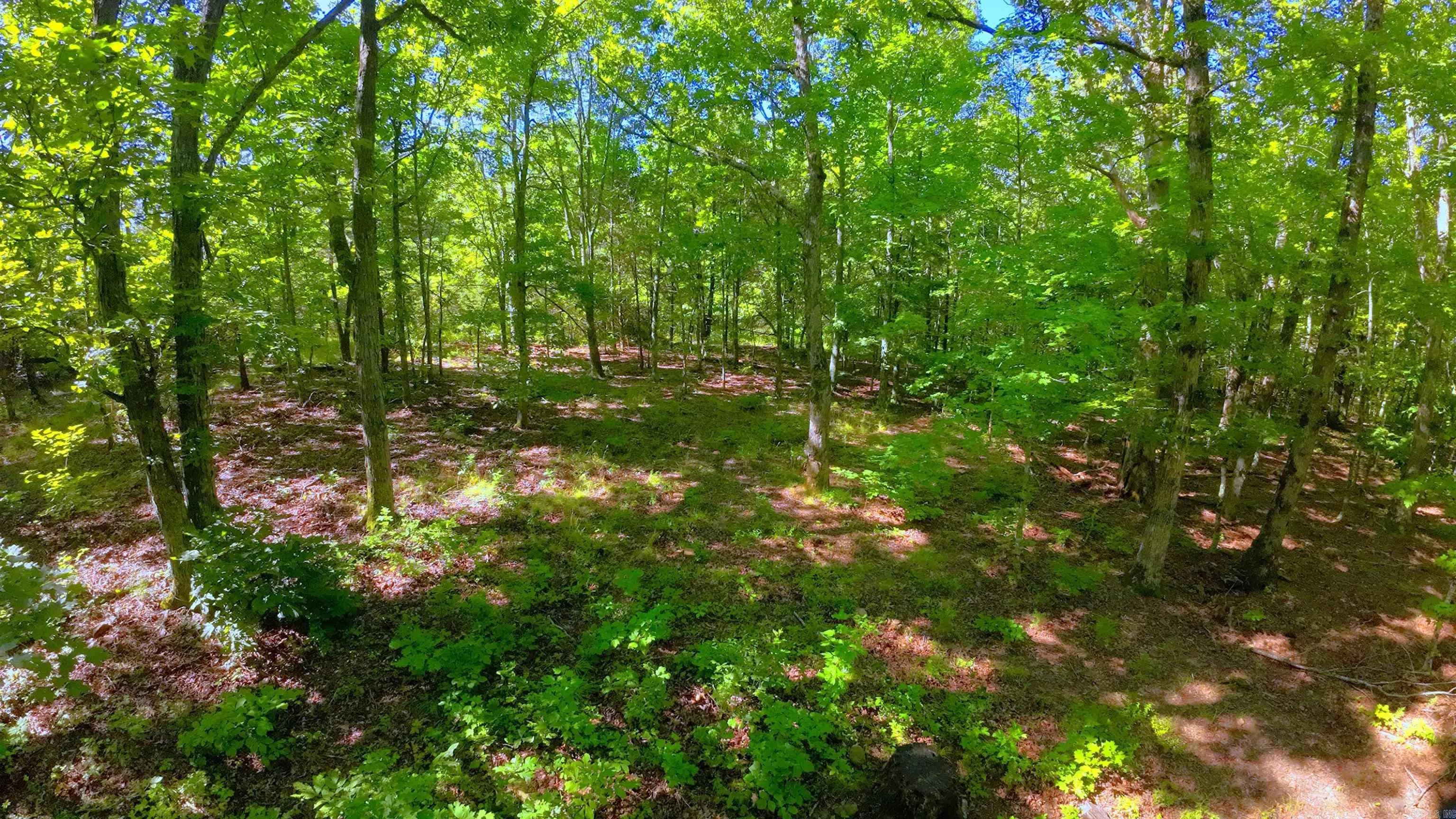Property at 000  Fs 1548 - Image 9